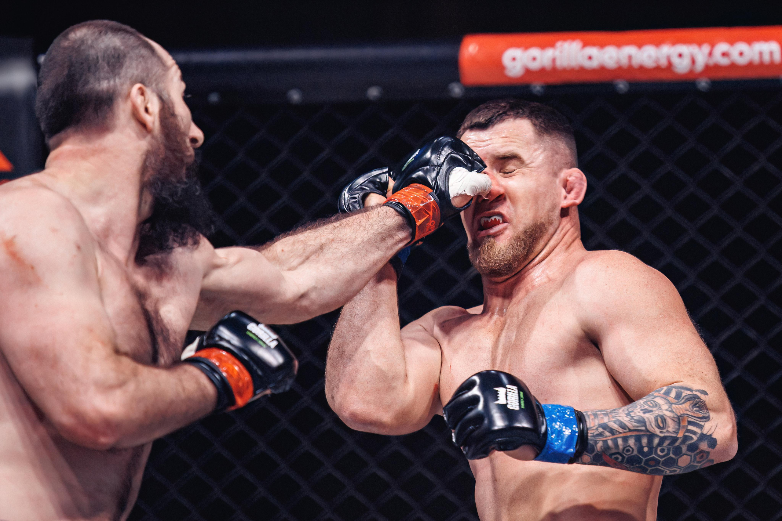 Чемпионат по ММА «Open FC», 17 февраля 2023. Марк Шишкин — репортажный фотограф в Воронеже и России