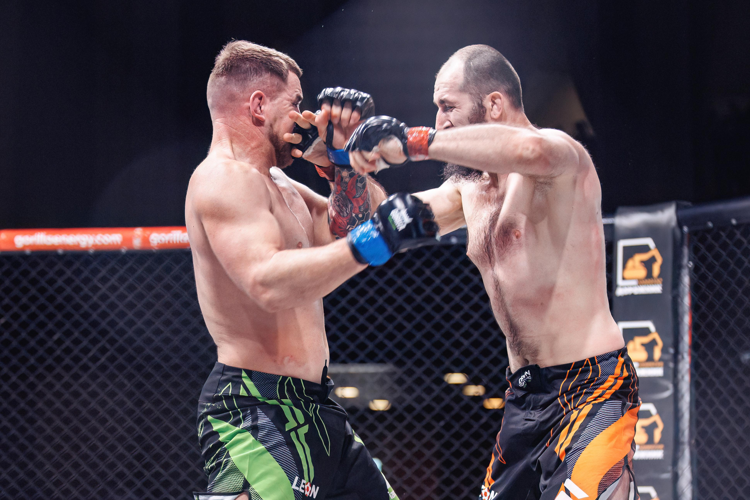 Чемпионат по ММА «Open FC», 17 февраля 2023. Марк Шишкин — репортажный фотограф в Воронеже и России