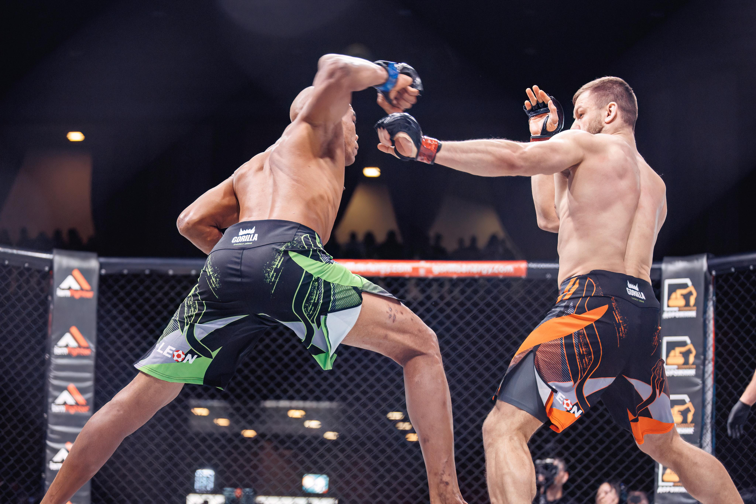 Чемпионат по ММА «Open FC», 17 февраля 2023. Марк Шишкин — репортажный фотограф в Воронеже и России