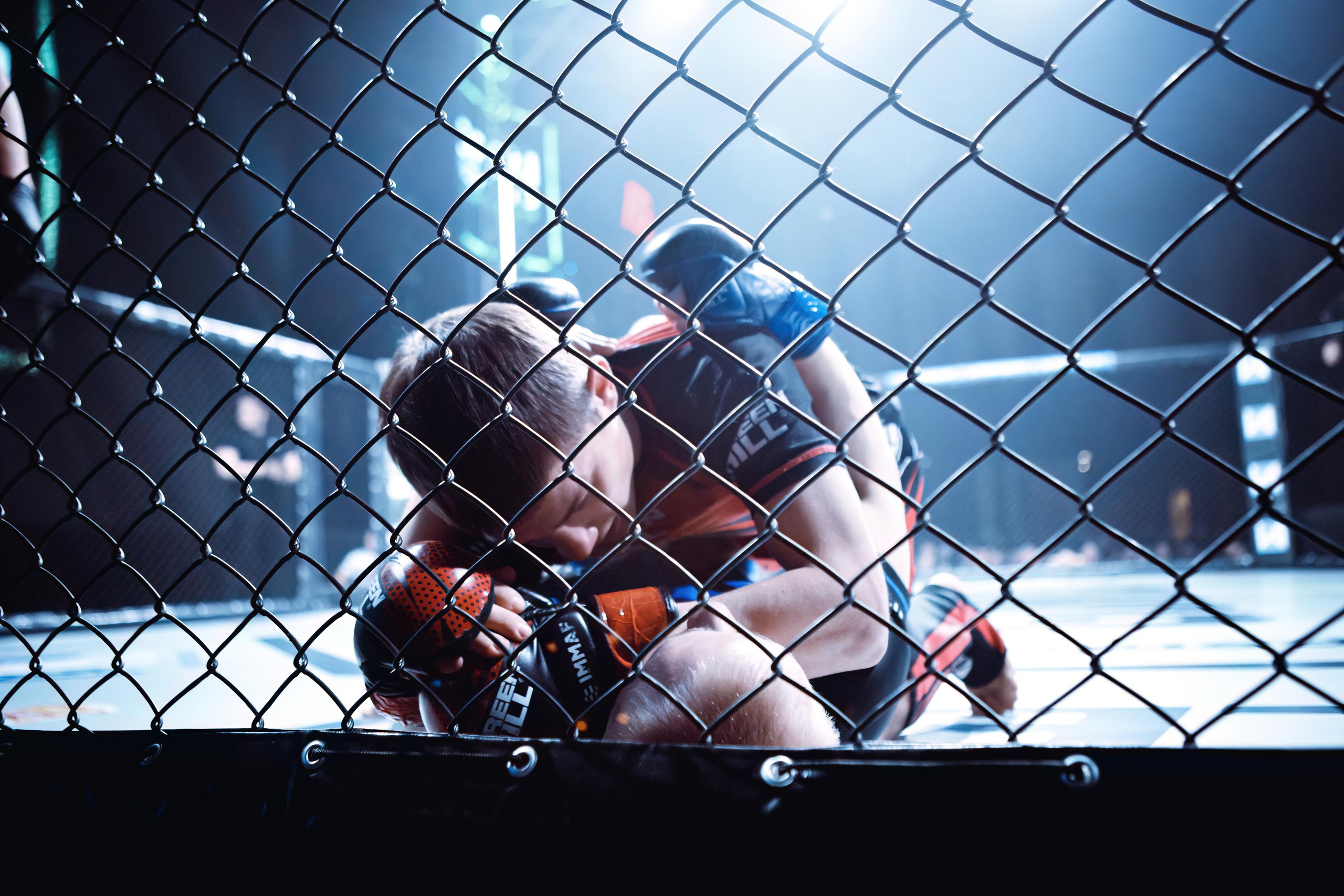 Чемпионат по ММА «Open FC», 17 февраля 2023. Марк Шишкин — репортажный фотограф в Воронеже и России