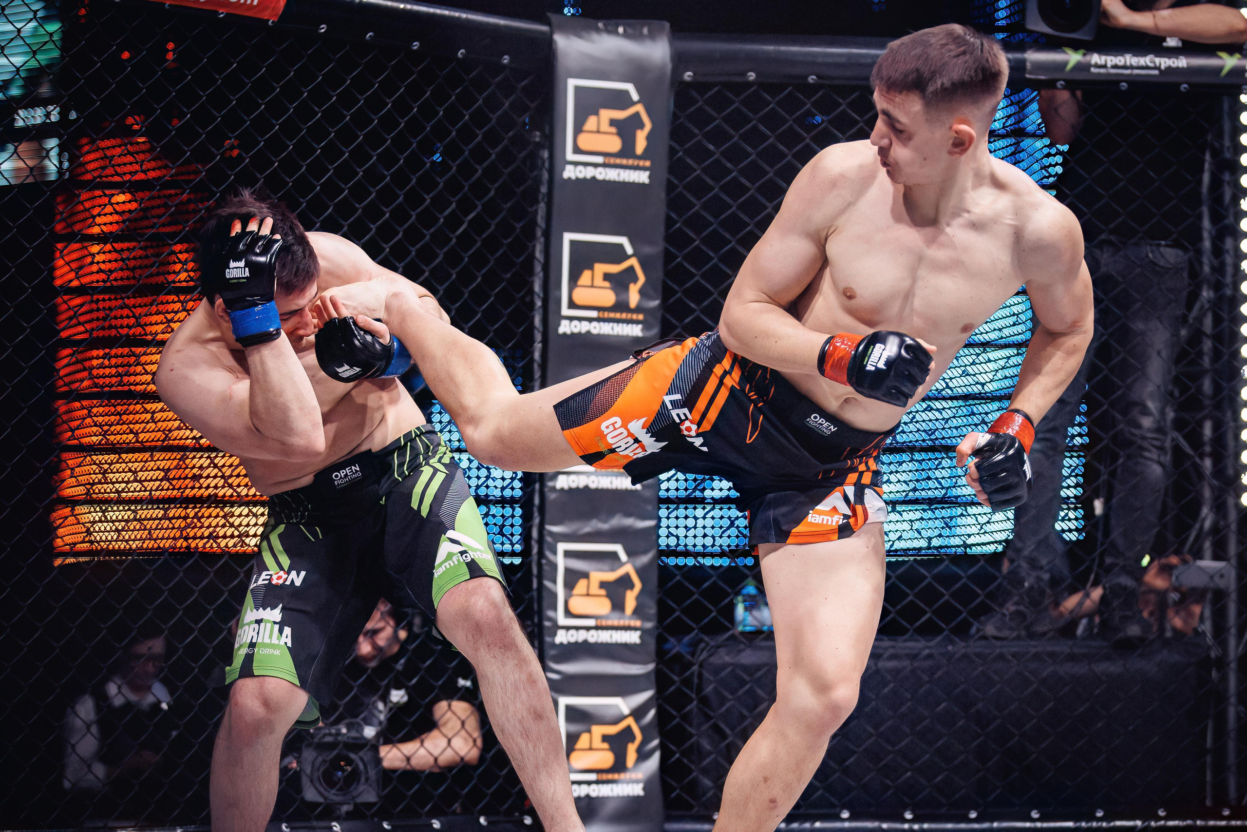 Чемпионат по ММА «Open FC», 17 февраля 2023. Марк Шишкин — репортажный фотограф в Воронеже и России