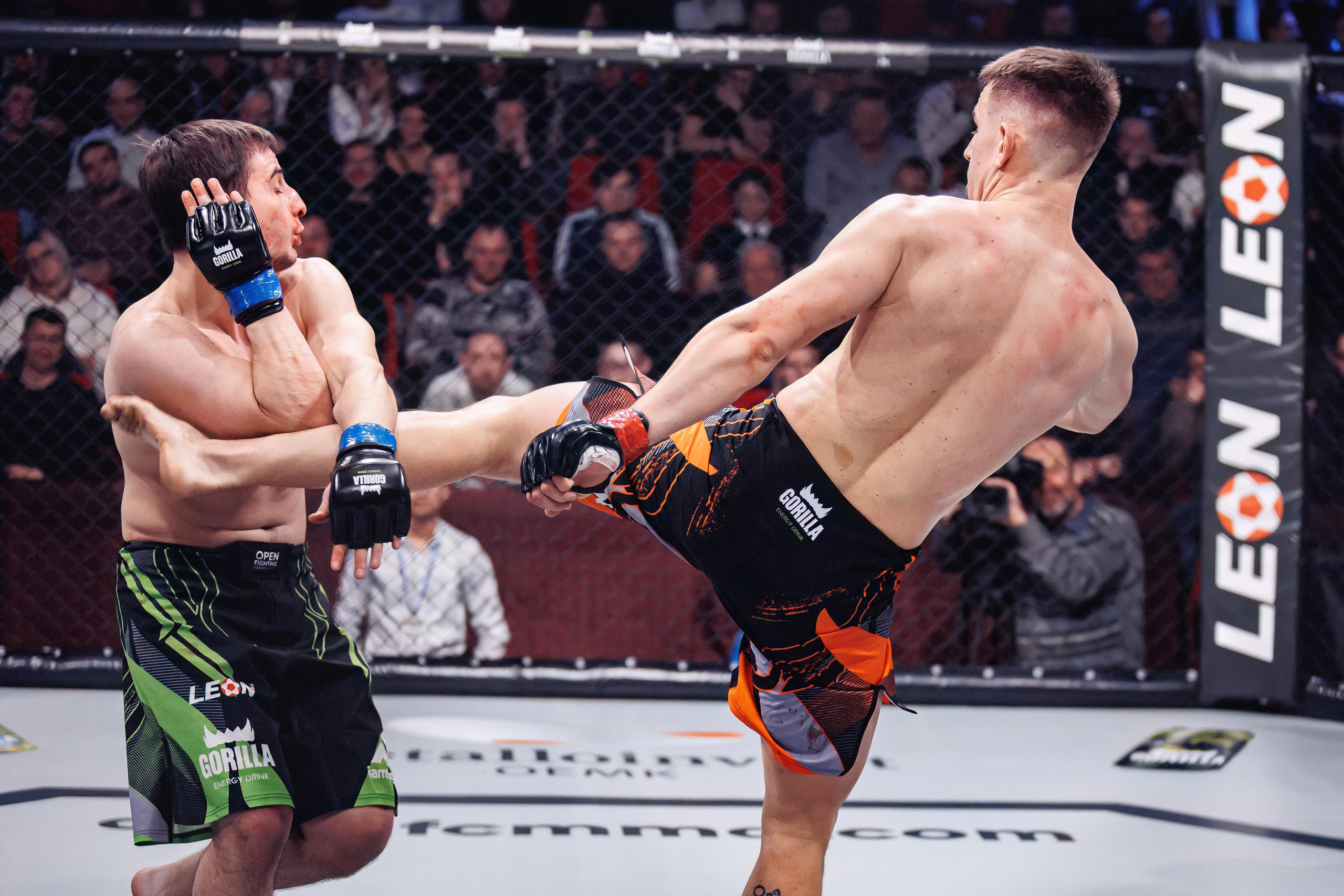 Чемпионат по ММА «Open FC», 17 февраля 2023. Марк Шишкин — репортажный фотограф в Воронеже и России