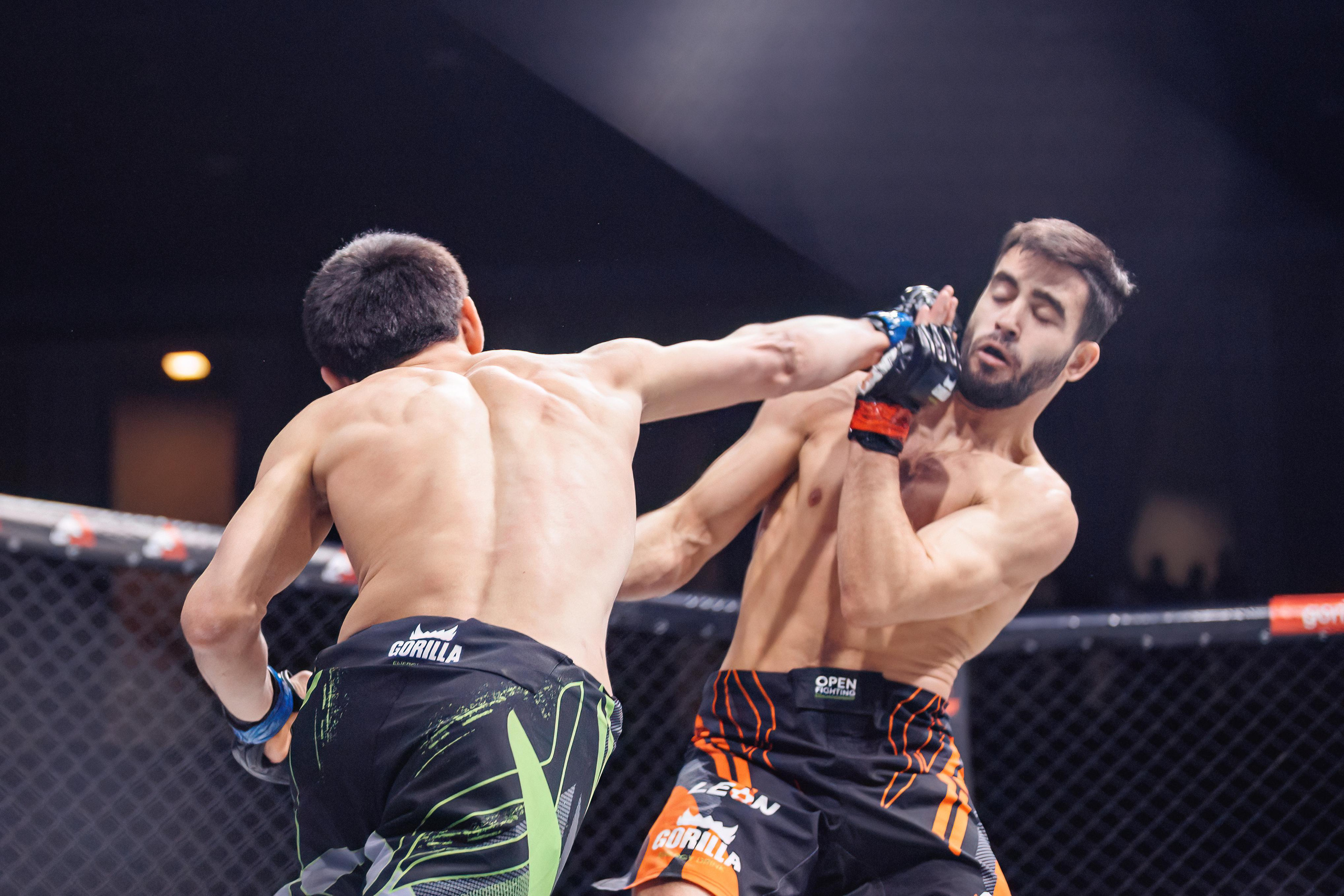 Чемпионат по ММА «Open FC», 17 февраля 2023. Марк Шишкин — репортажный фотограф в Воронеже и России