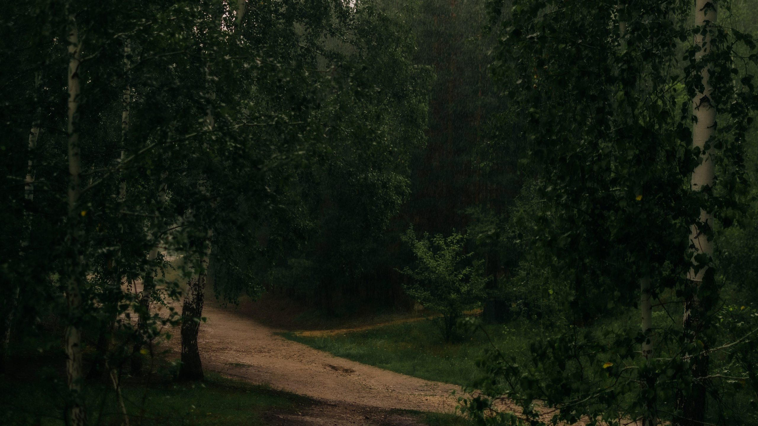 Ева в роли Мэрил Стрип / Анонс. Фотограф в Самаре | Катерина Гущина