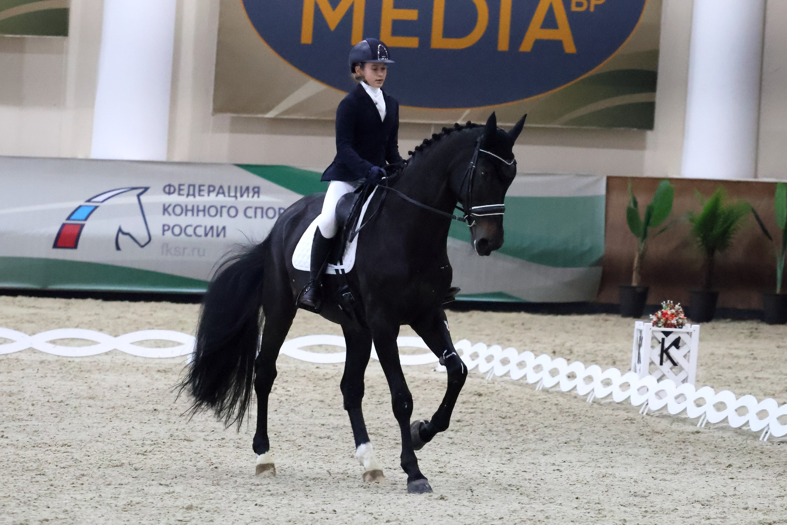 Соревнования по выездке КСК «Виват, Россия!». Спортивный и репортажный фотограф Ермакова Светлана