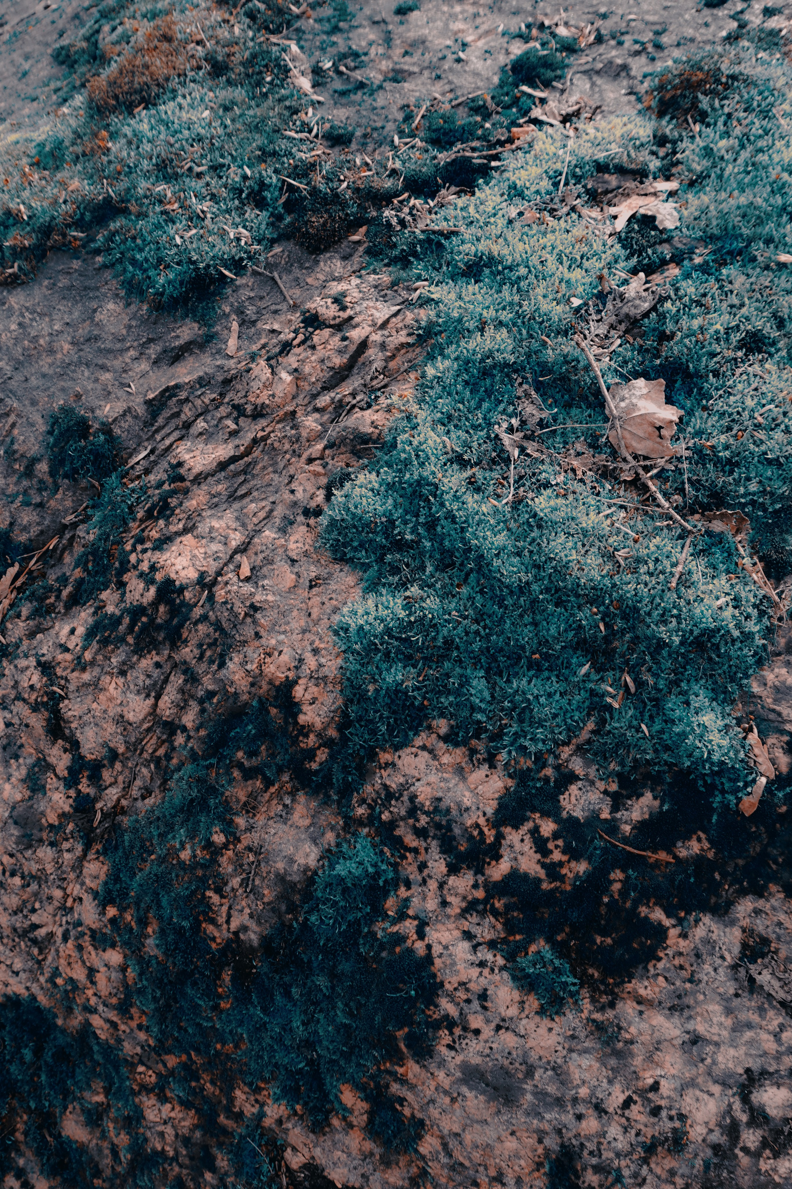 Выборг. Фотограф Алиса Аспер