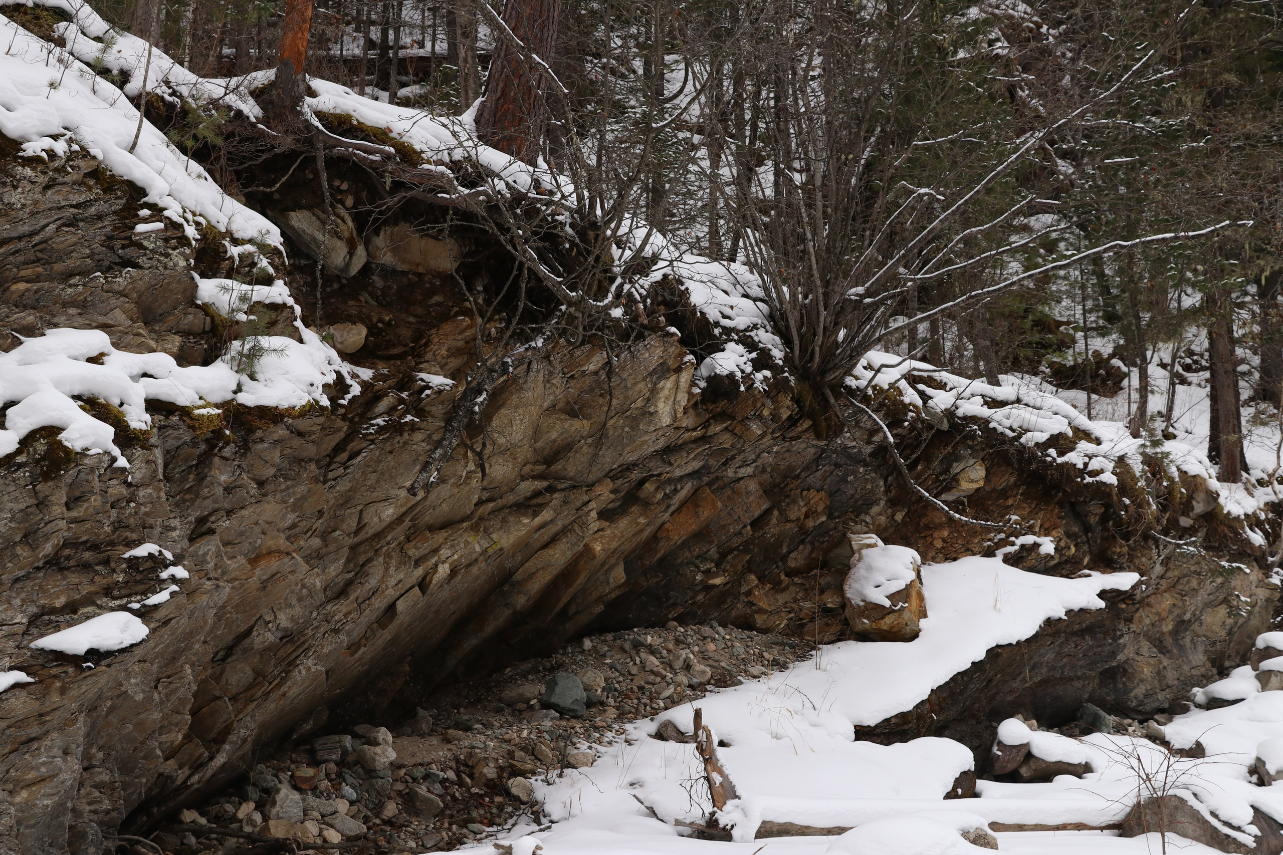 Аршан. Январь 2024. Путешественник-фотограф из Санкт-Петербурга Татьяна Свистулина