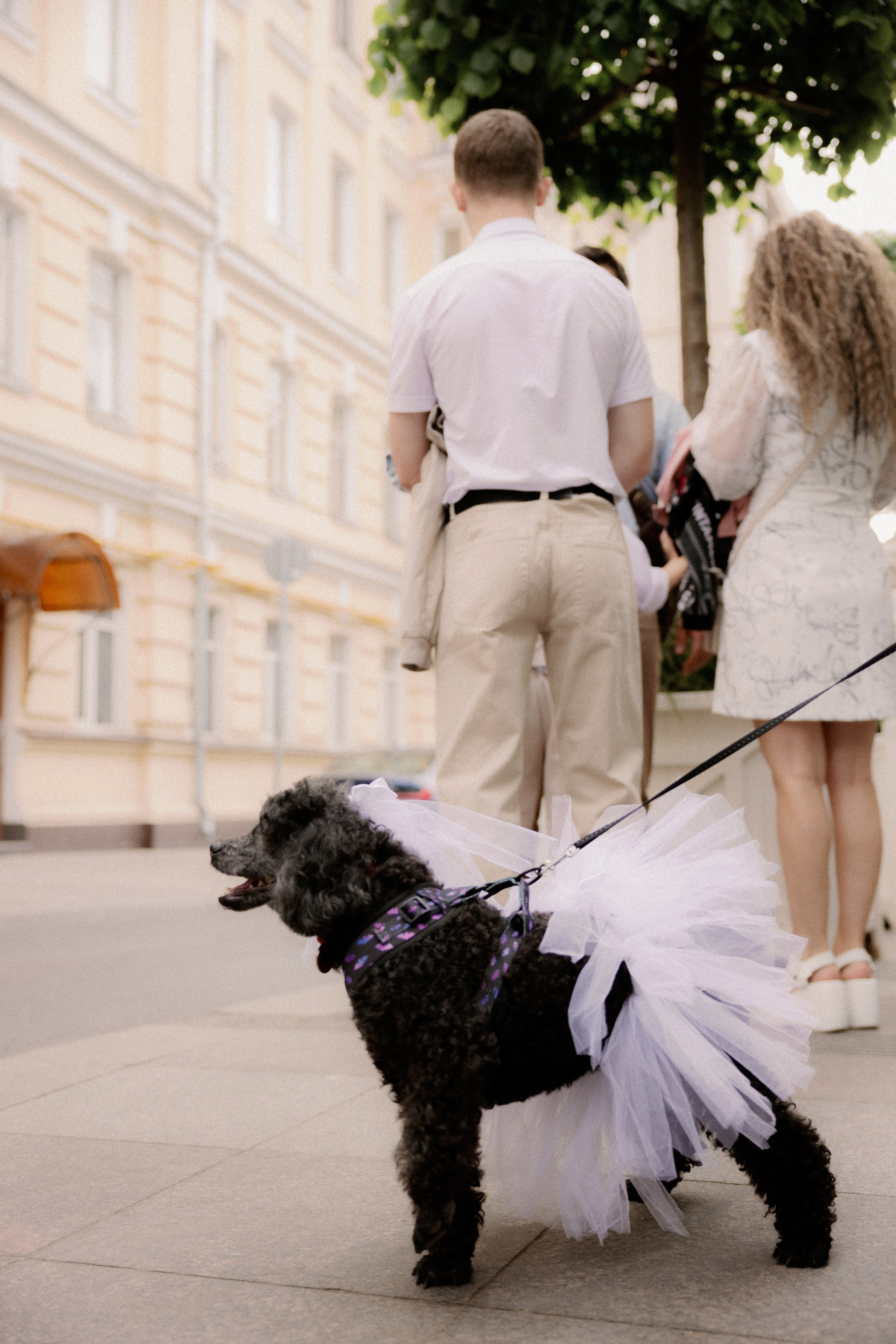 Леша + Саша. Семейный и детский фотограф Юлия Шох
