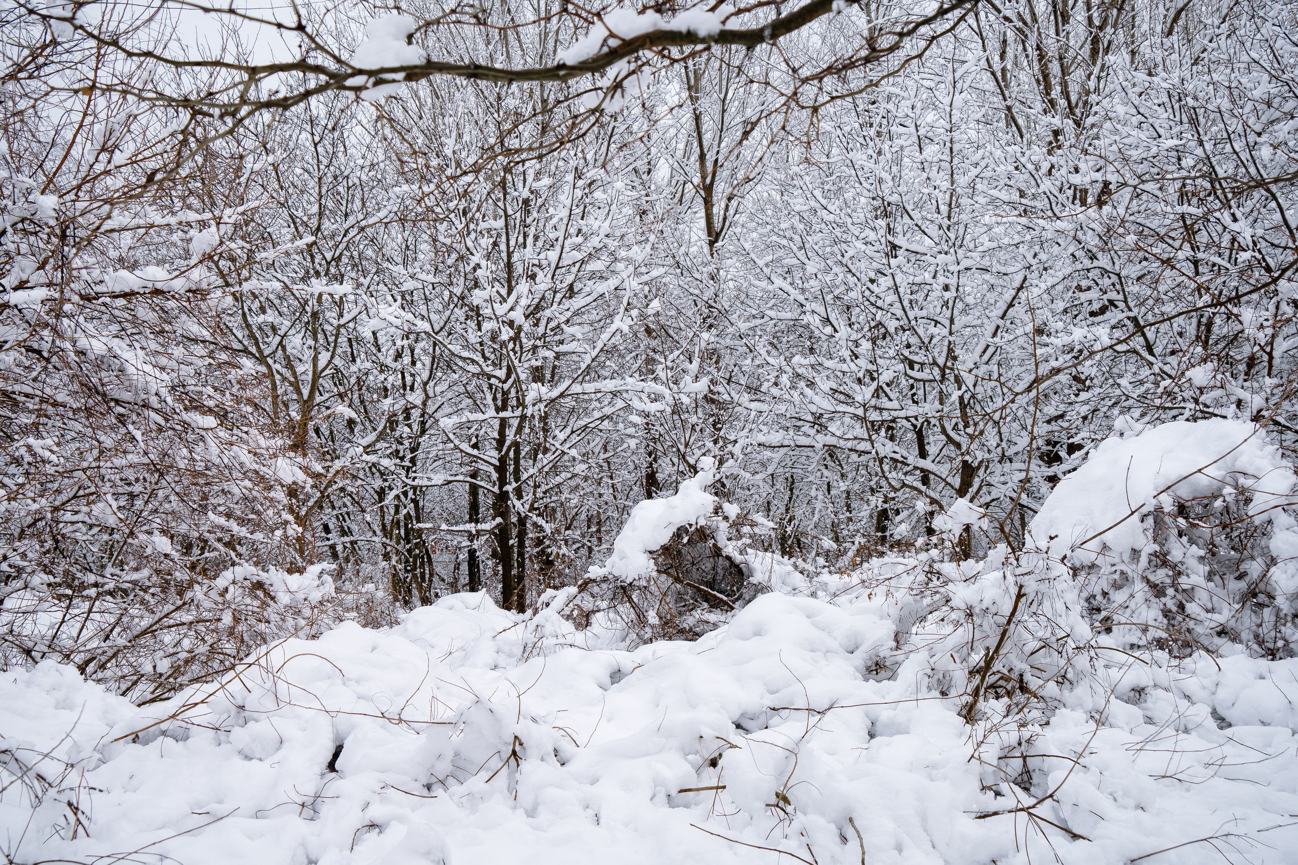 Зима 2024. Свадебный и семейный фотограф/видеограф в Краснодаре Наталья Осинская
