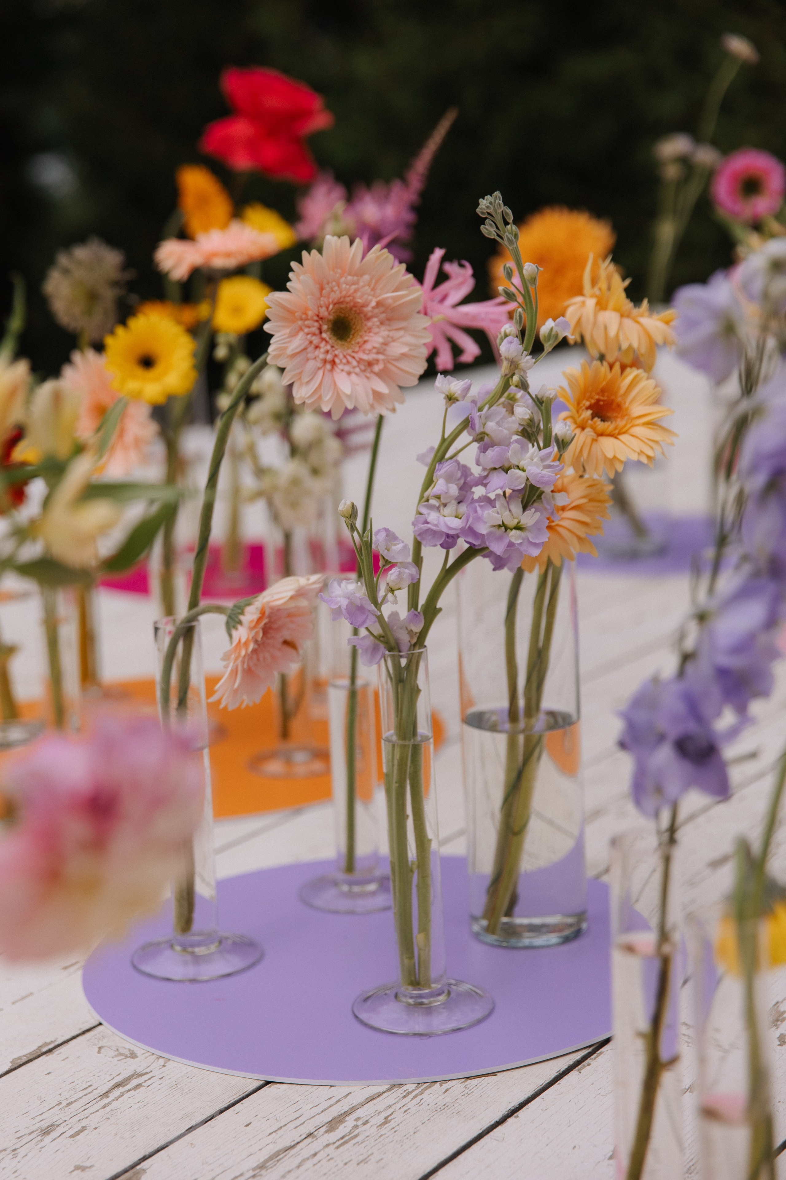 Когда, если не этим летом?. VENSKAYA WEDDING & EVENT PLANNER