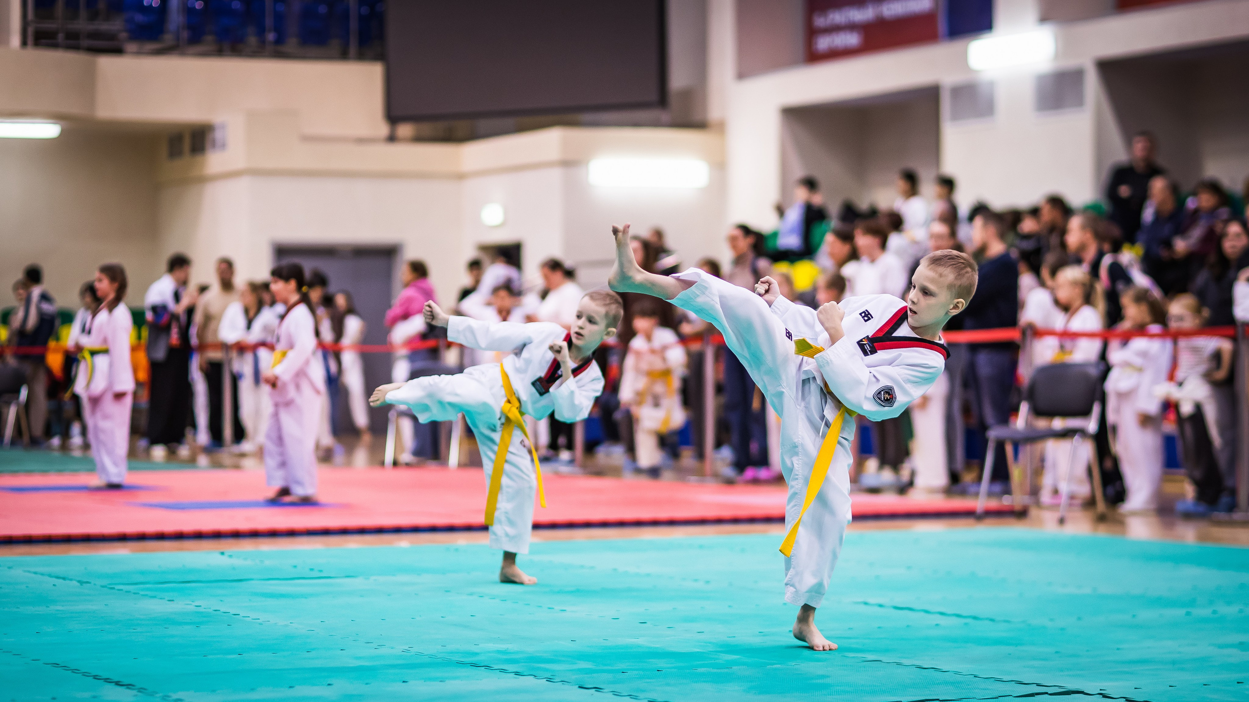 Турнир Федерации детского тхэквондо России по дисциплине ПХУМСЭ. Спортивный фотограф Максим Серегин