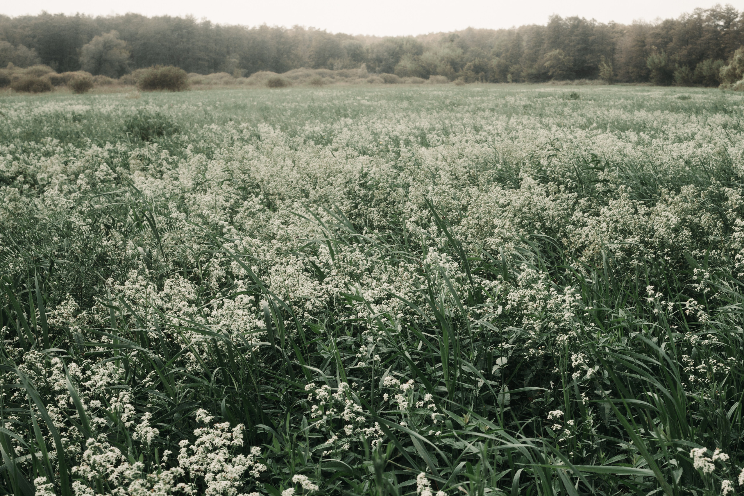 Земля. Фотограф Старый Оскол Мавлыга Мария