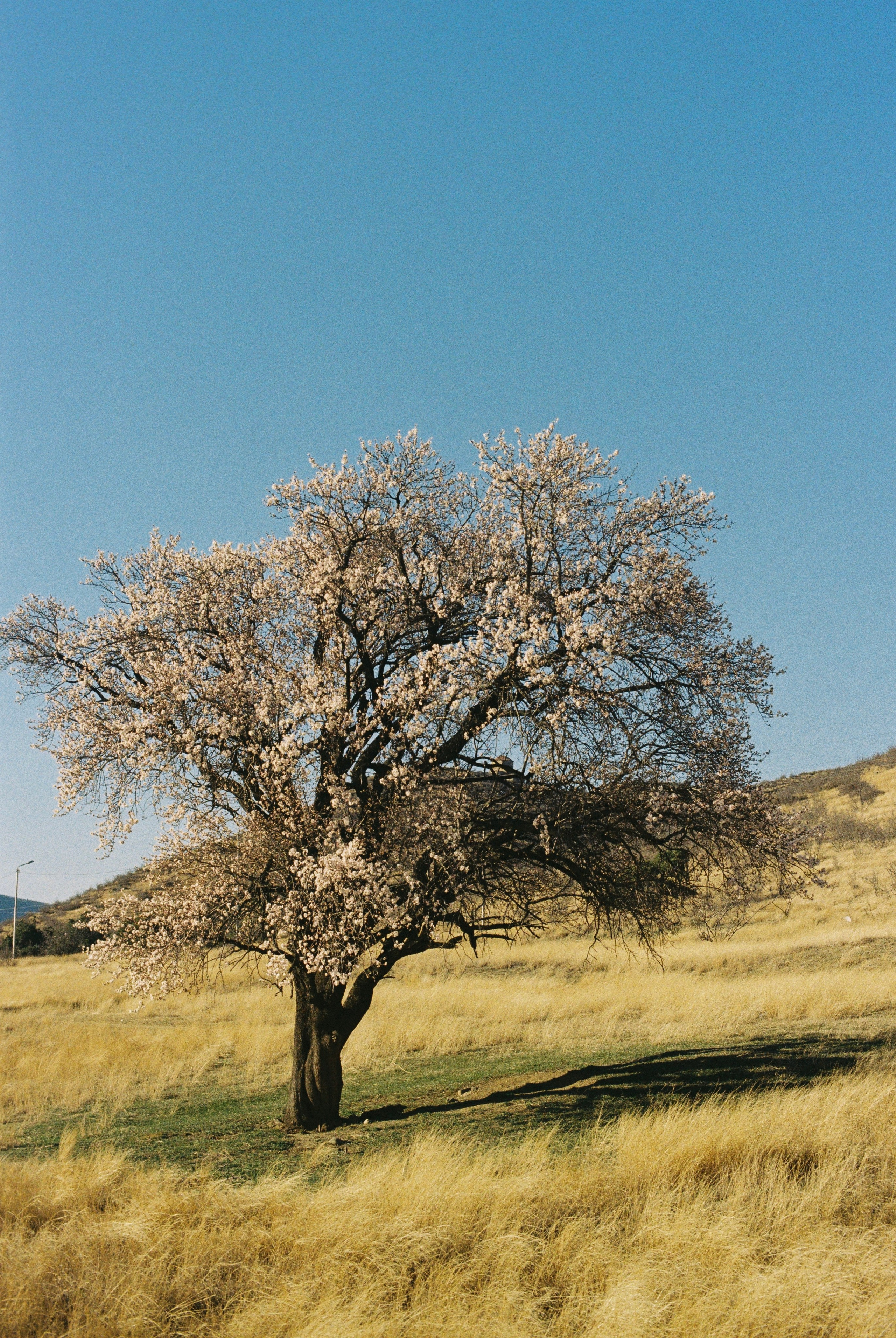 EXHIBITION. Репортажный и интерьерный фотограф, фотохудожник