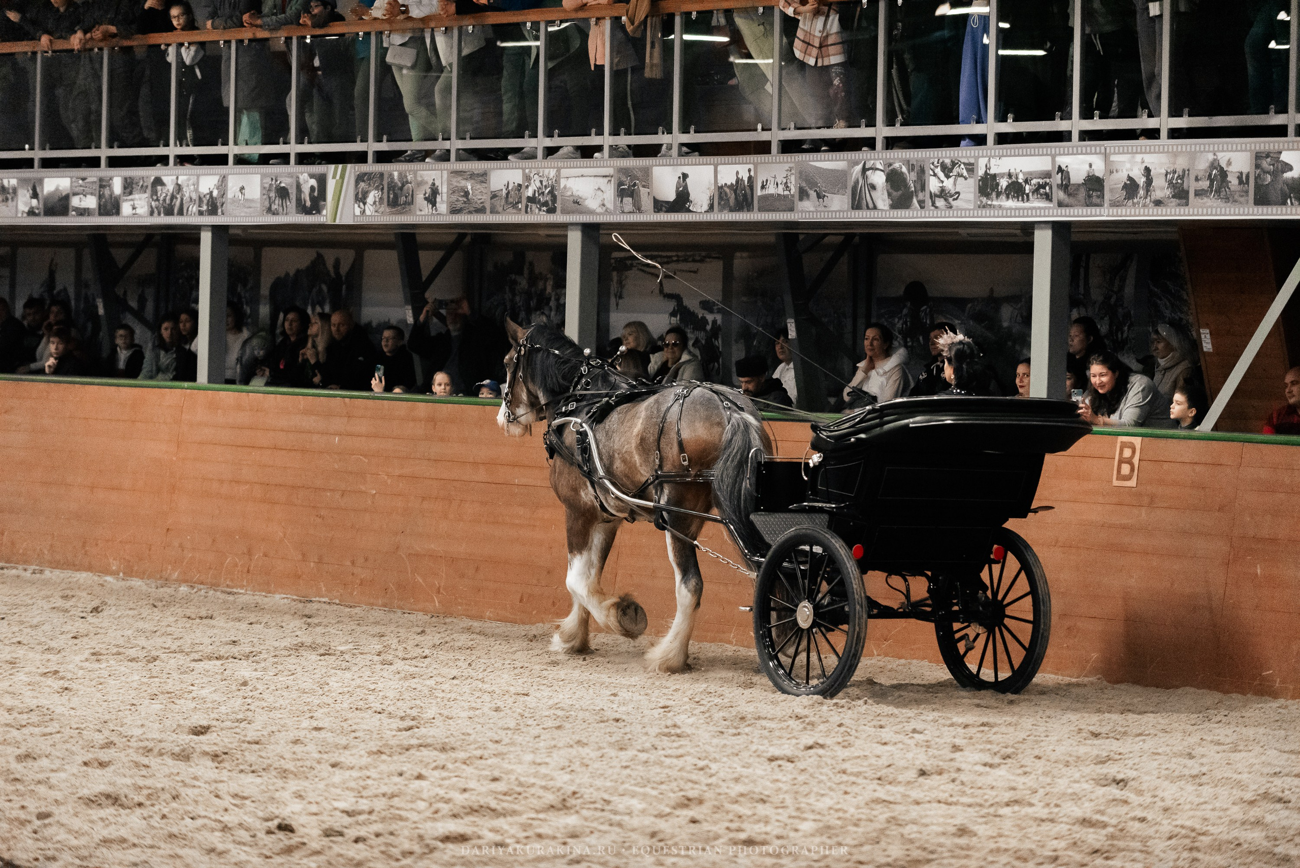 Конное представление «Дыхание Звёзд». Конный фотограф Куракина Дарья • Фотосессии с лошадьми