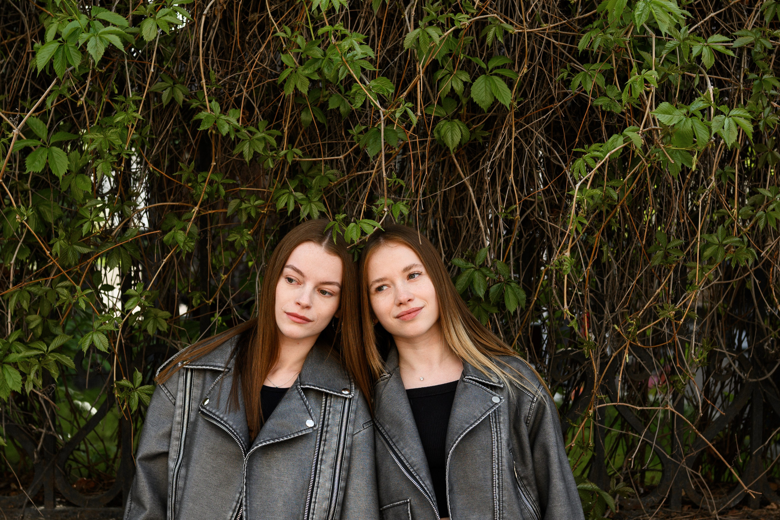 Лучшие подружки. Фотограф анималист в Москве Ольга Агушева