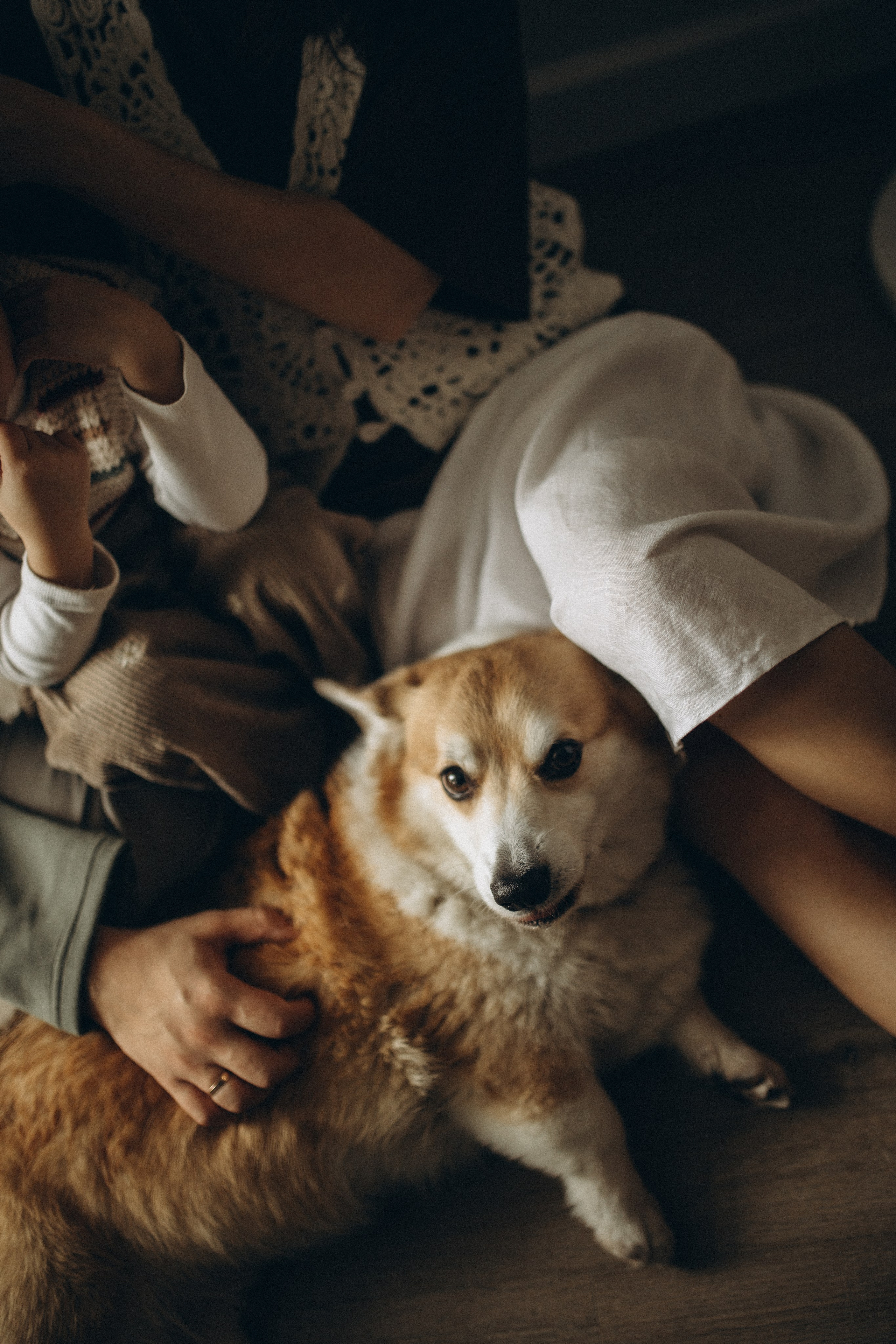 Светлана, Никита и Василиса. Фотограф в Санкт-Петербурге