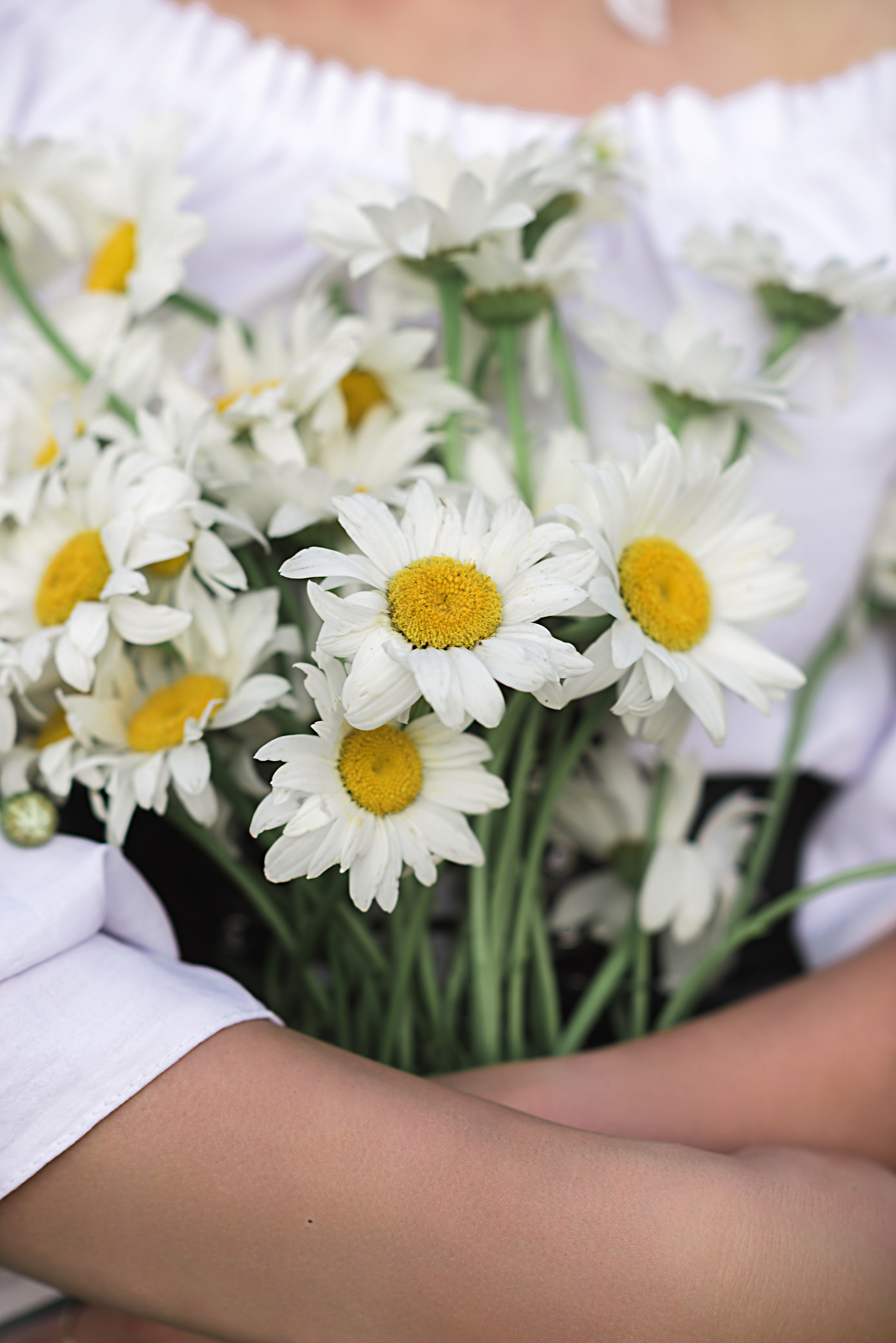 Настя. Фотограф в Санкт-Петербурге Катя Прудникова