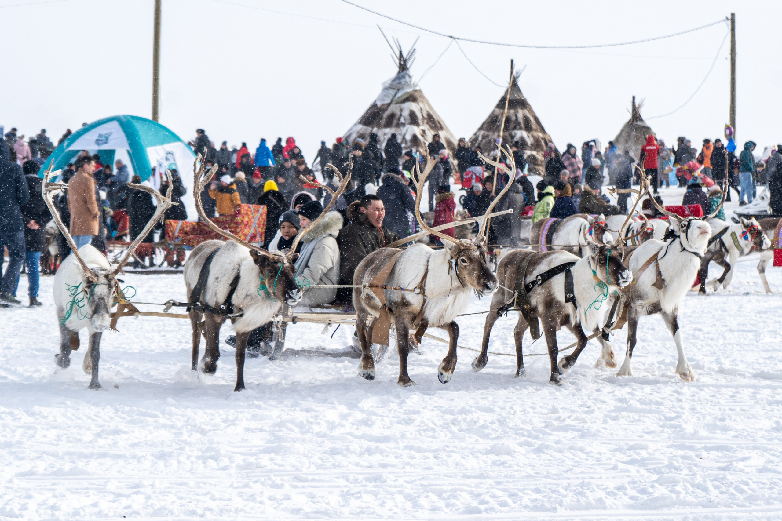 День Оленевода. Фотограф Екатерина Зорина