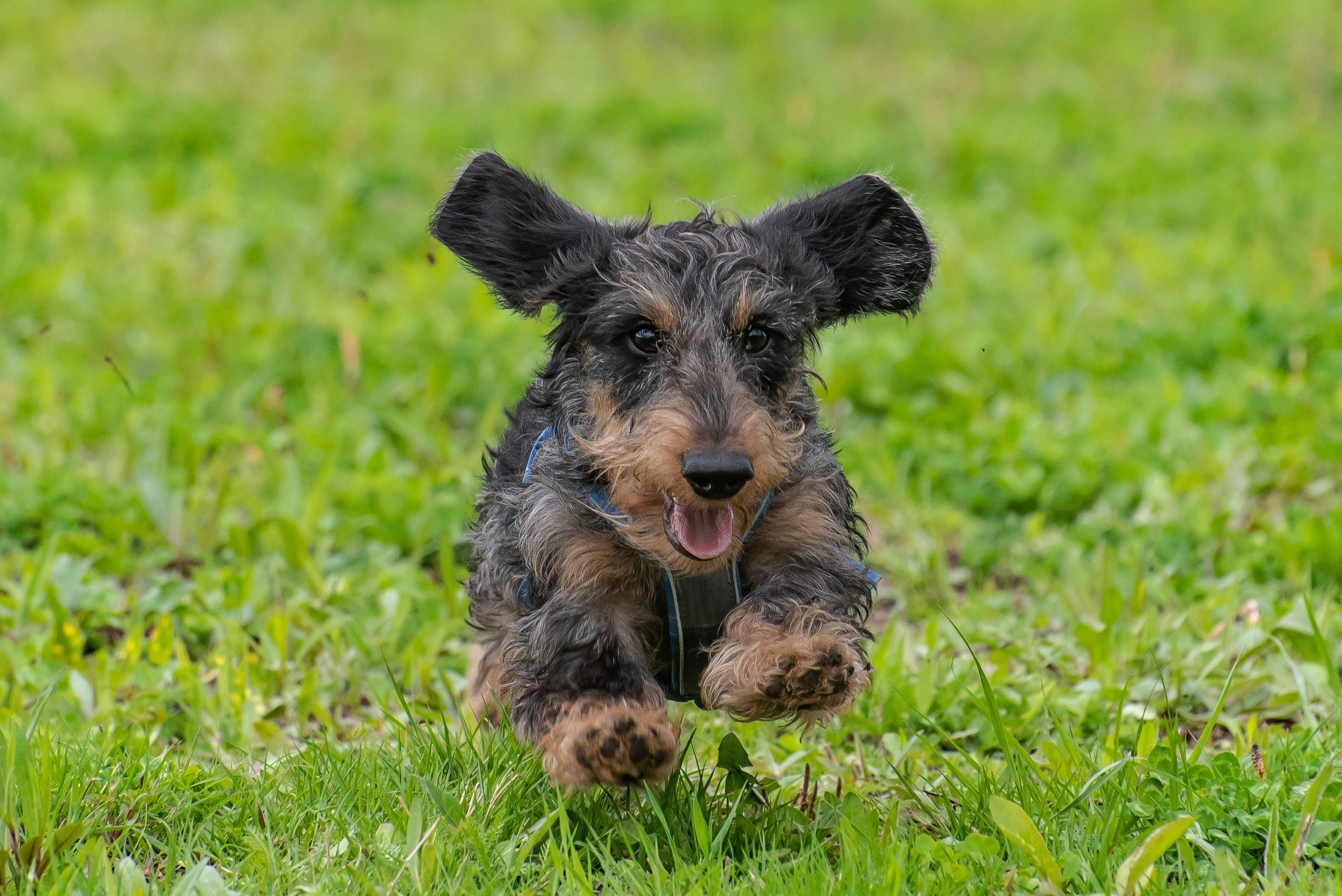Фотографии с Курсинга. Фотограф Макс Огурцов в Нижнем Новгороде