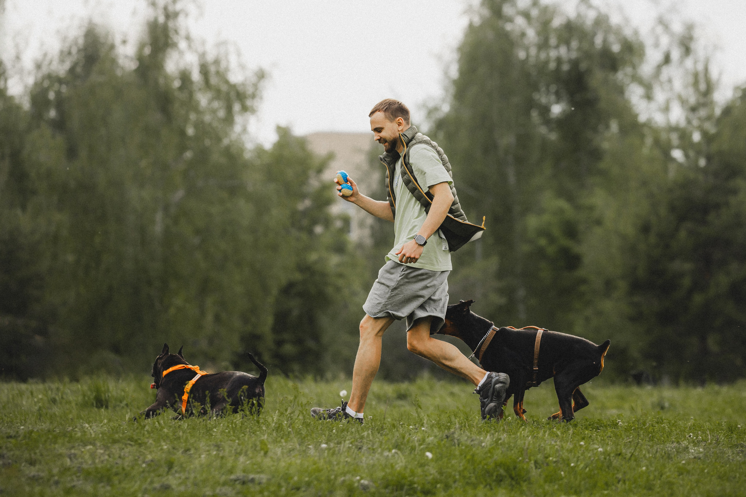 Паша, Хайди и Тея