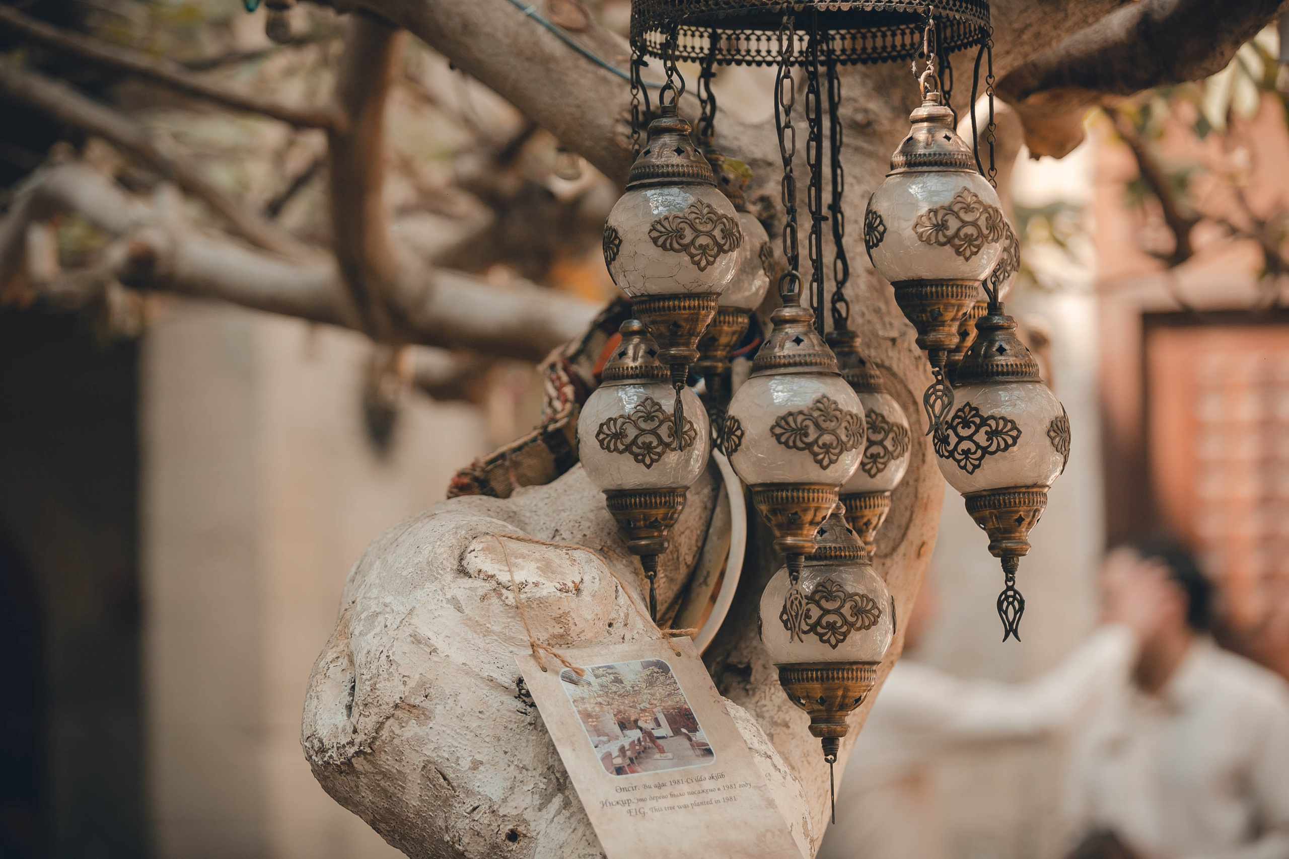 Майсы. Репортажный фотограф Андрей Герасимов