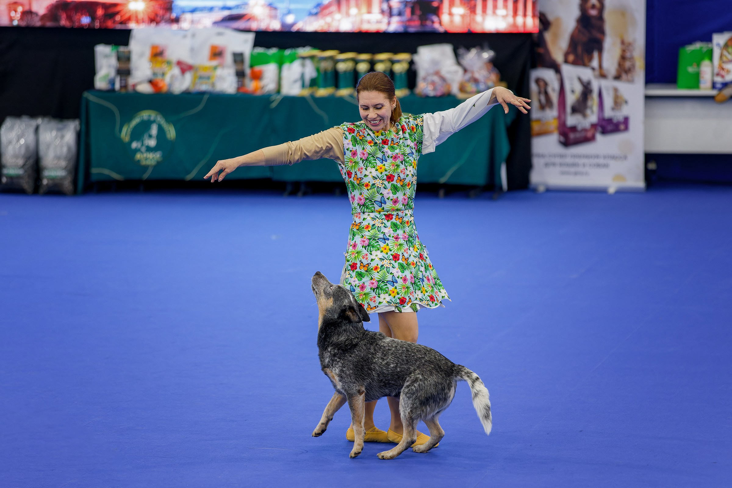 Танцы с собаками. Зоошоу 14.12.2025. Irenephoto.ru