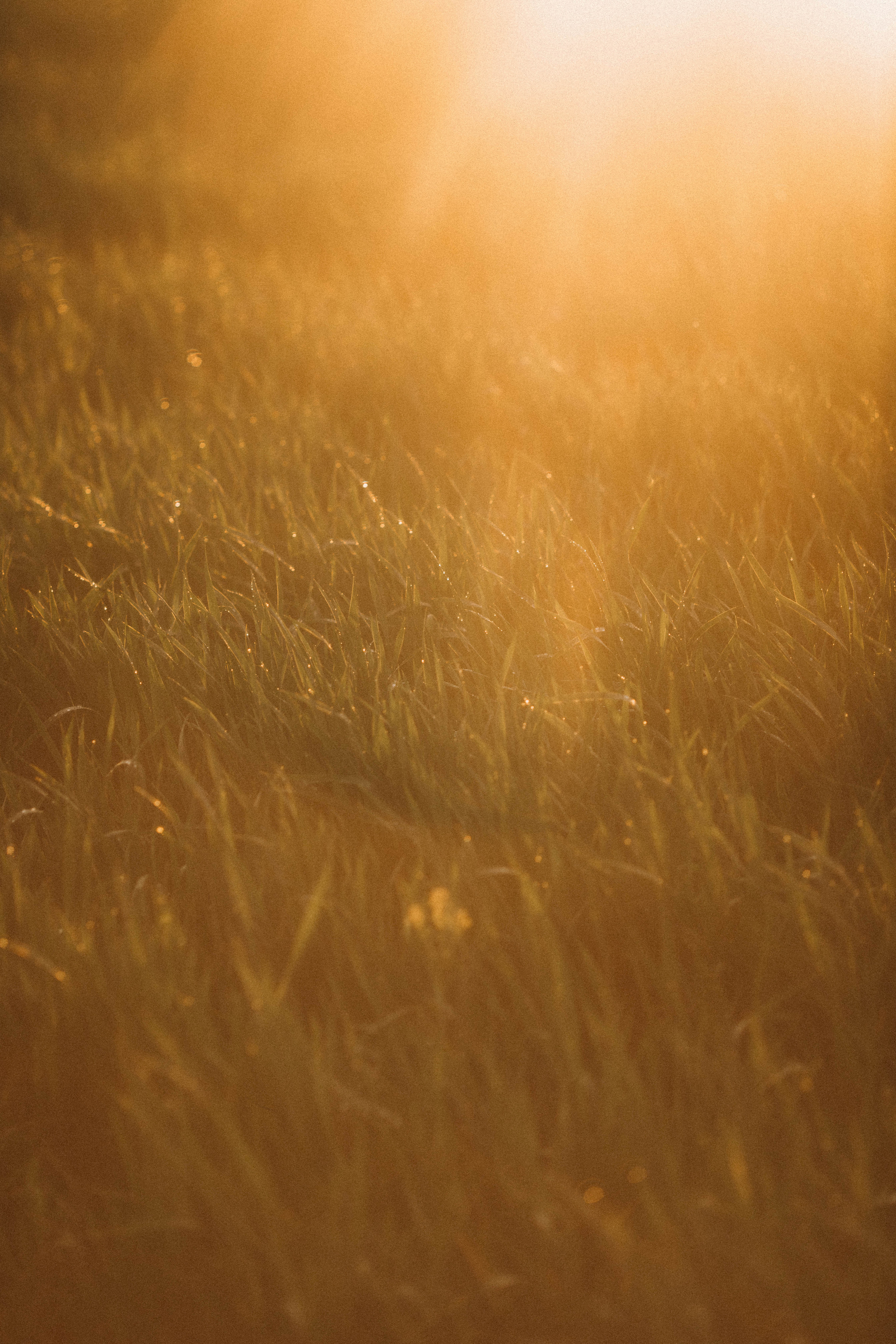 Polina. Фотограф Ксения Дзюбак Самара-Москва