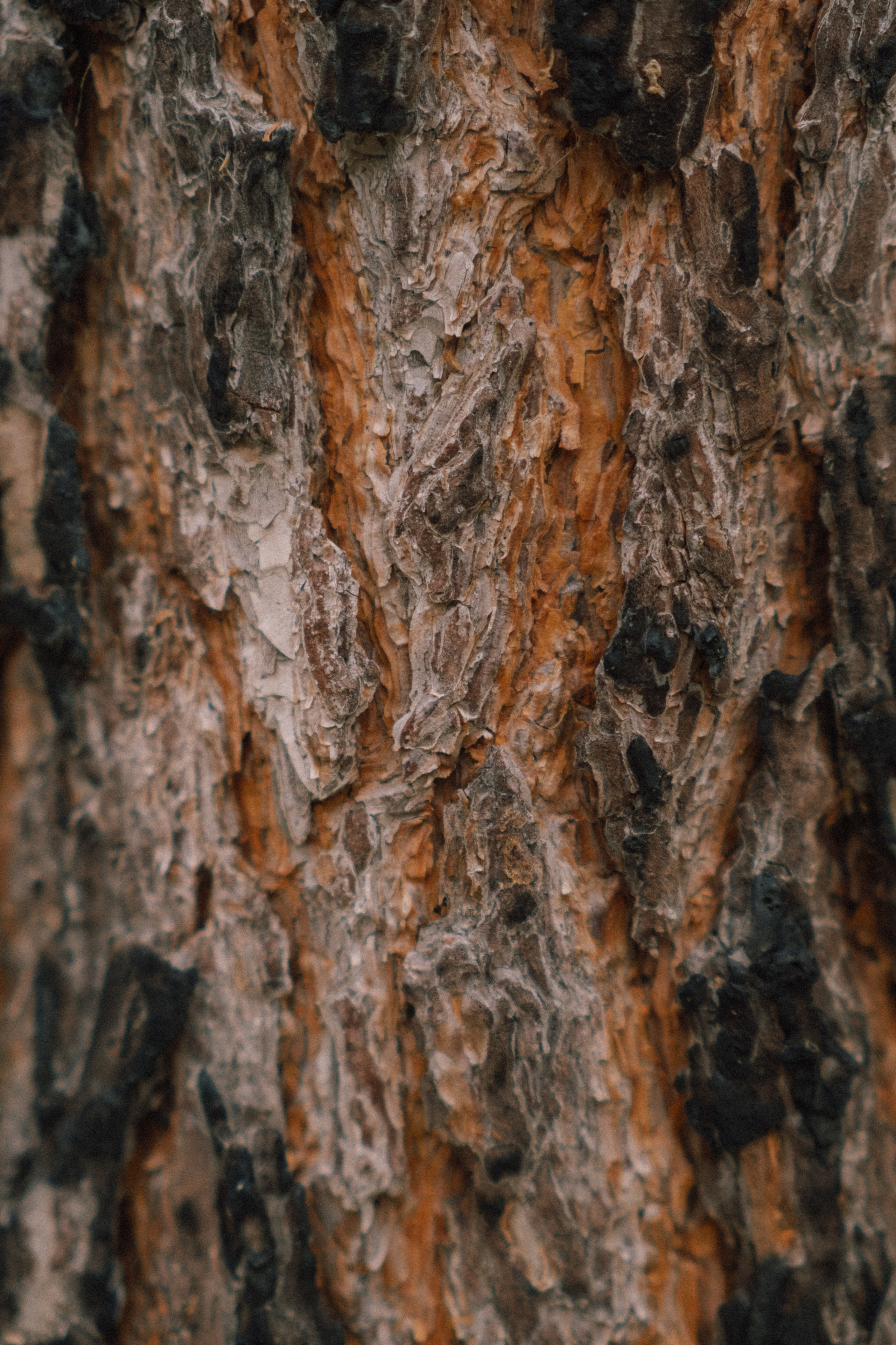 Xenia. Фотограф Ксения Дзюбак Самара-Москва