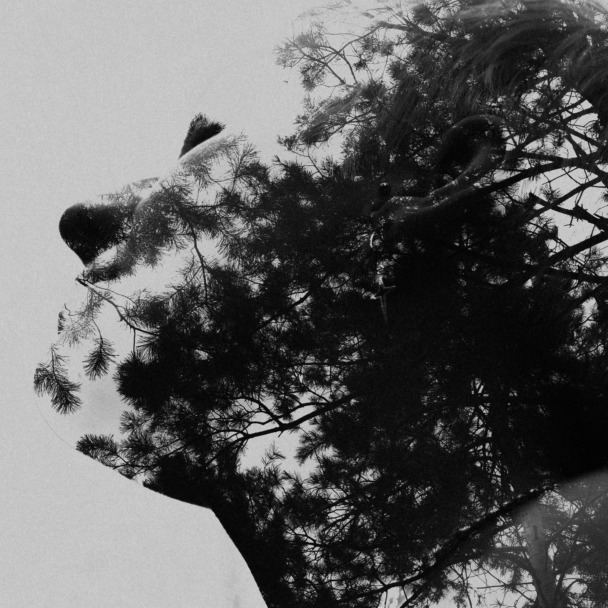 Xenia. Фотограф Ксения Дзюбак Самара-Москва