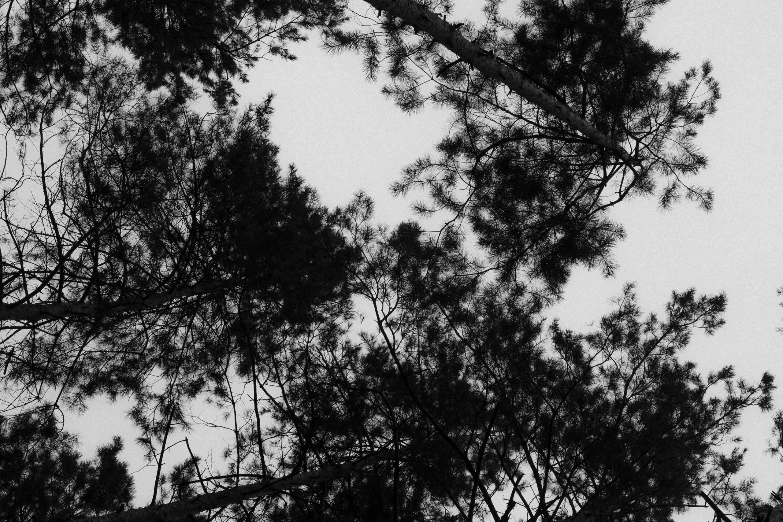 Xenia. Фотограф Ксения Дзюбак Самара-Москва