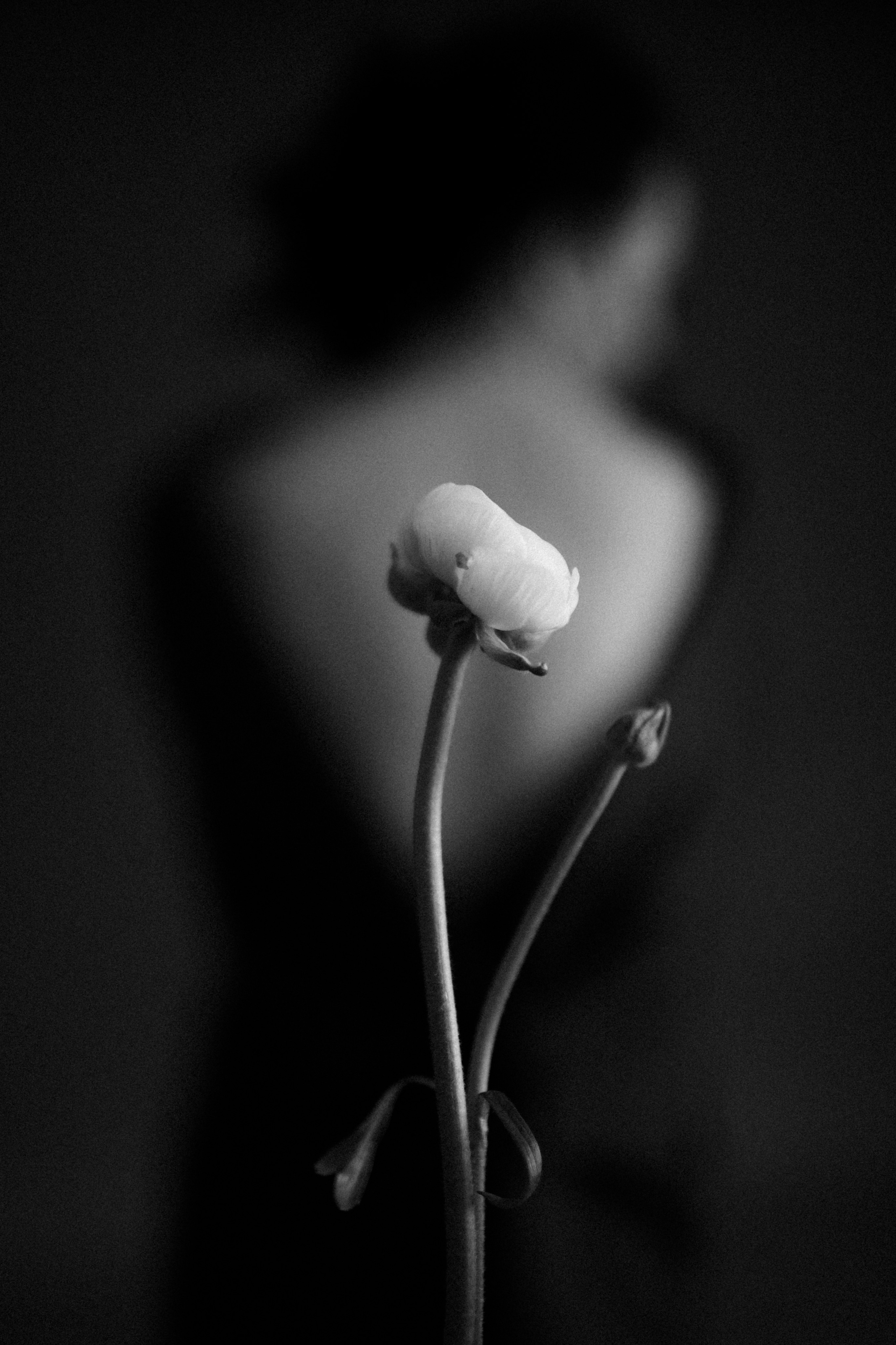 Elena. Фотограф Ксения Дзюбак Самара-Москва