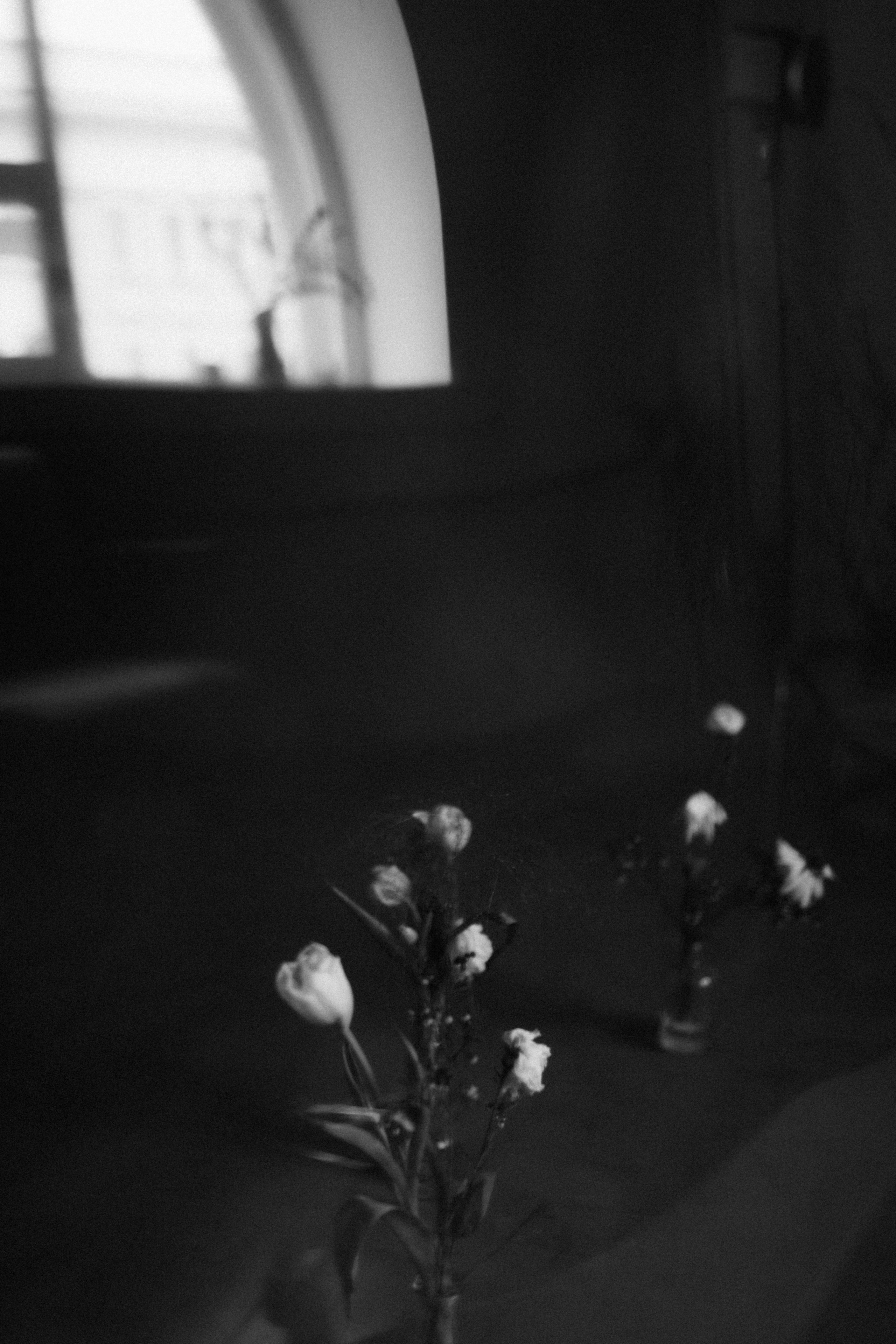 Elena. Фотограф Ксения Дзюбак Самара-Москва