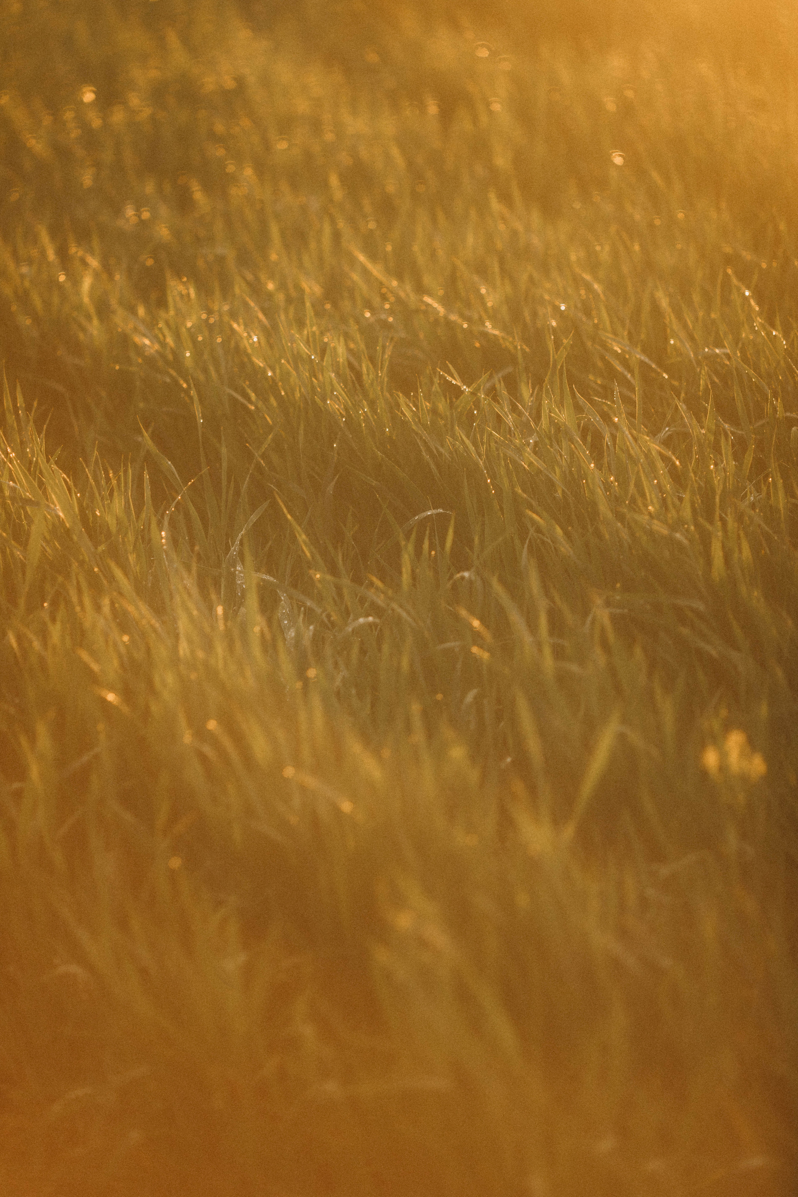 Polina. Фотограф Ксения Дзюбак Самара-Москва