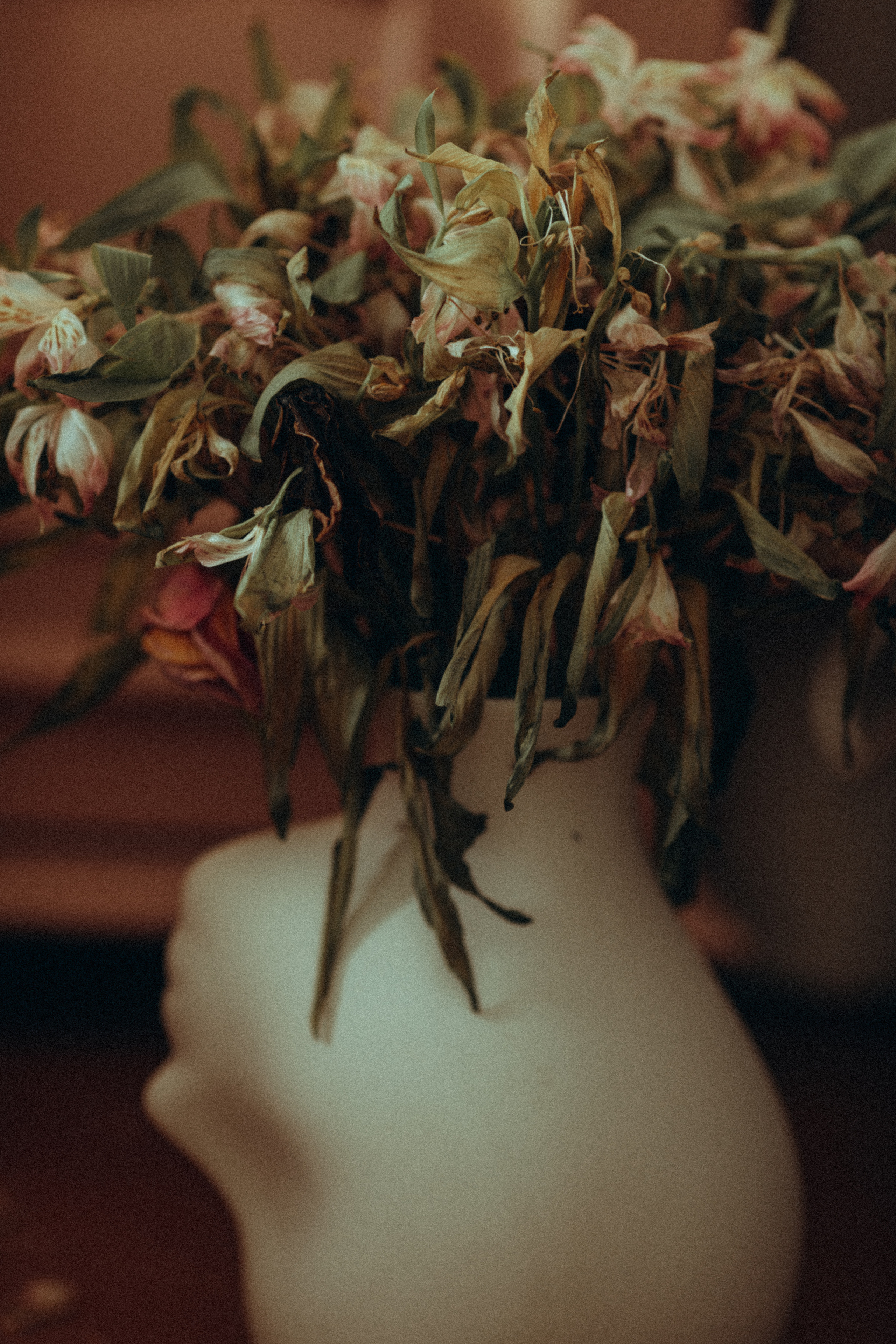 Xenia. Фотограф Ксения Дзюбак Самара-Москва