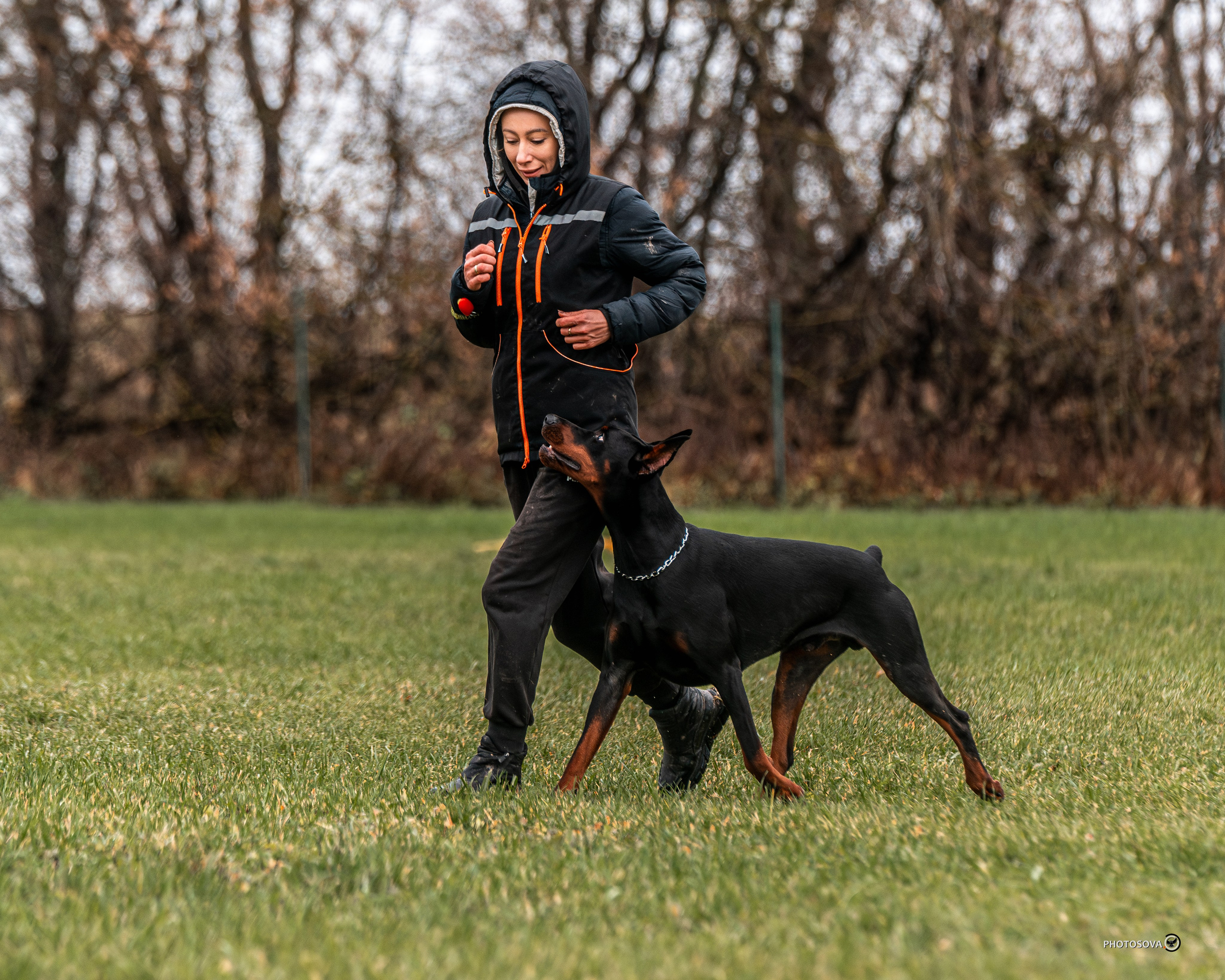 МЫ — КОМАНДА (соревнования) OKD, BH, IBGH, IGP. Фотограф-анималист, семейный фотограф в Москве и Подмосковье. Фотосъёмка кинологических дисциплин