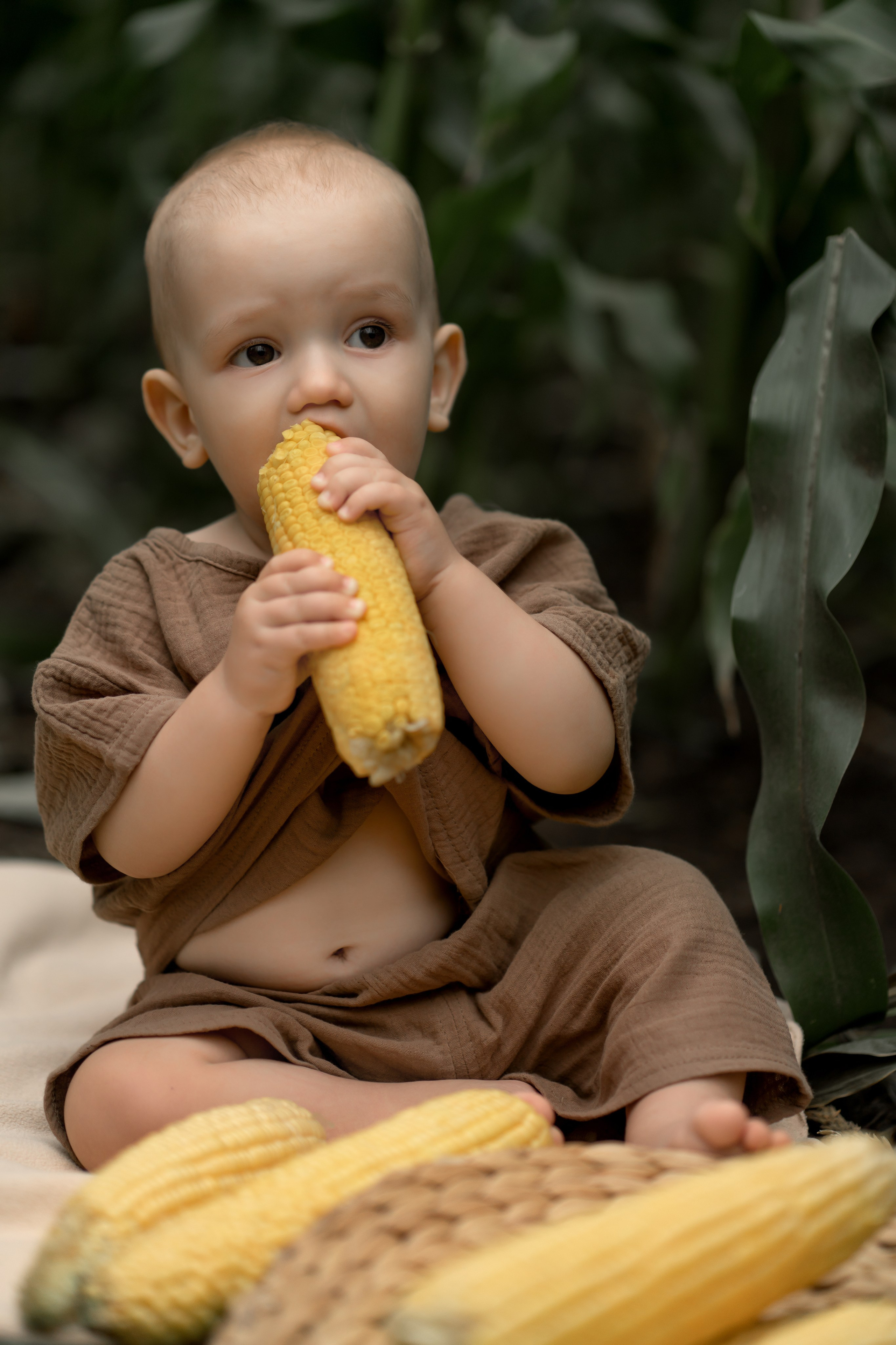 Прогулка в кукурузе. Фотограф в Красноярске. Юлия Чаушанская