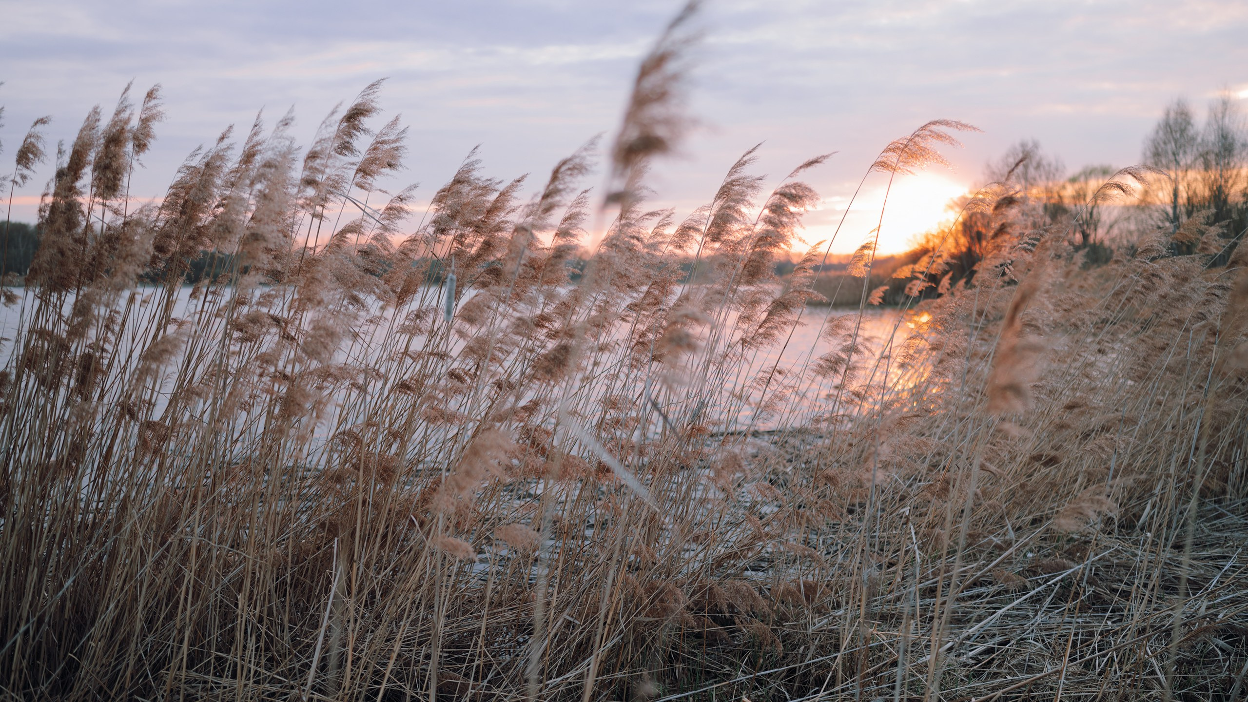 Невидимый спектр. Komonev