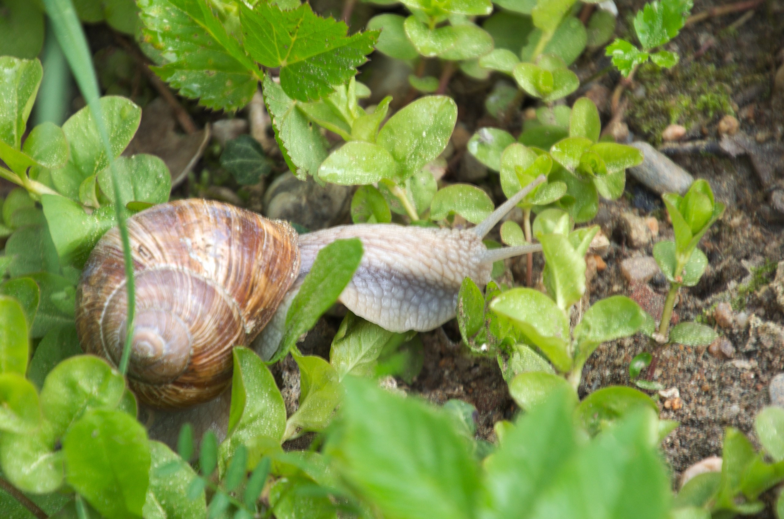 Чехия | 06-09.05.2017. Галерея Фантим