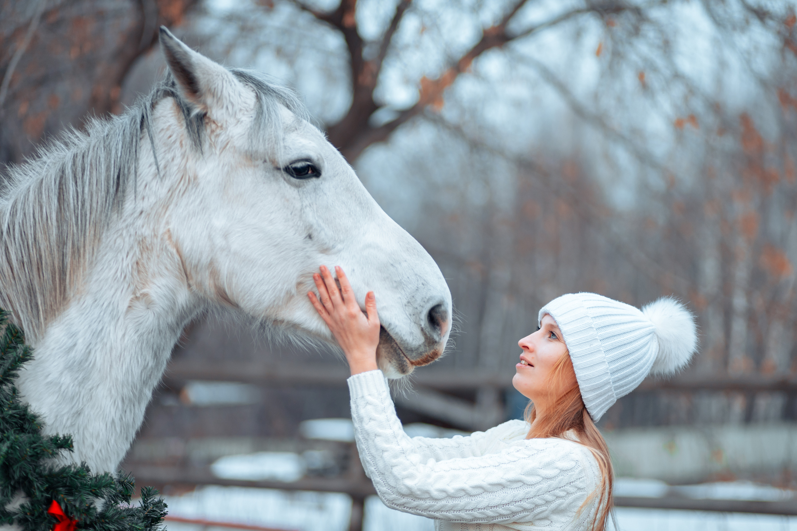 С животными. Свадебный фотограф Красноярск — Кристина Ива