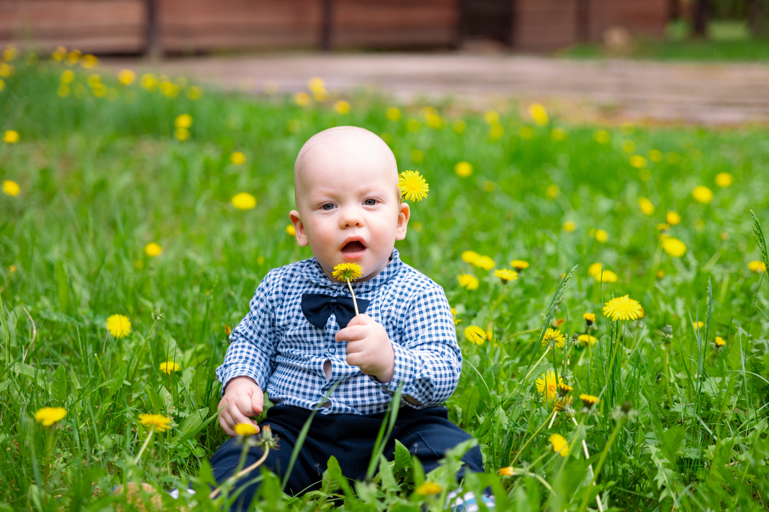 Семейная. Свадебный фотограф Красноярск — Кристина Ива