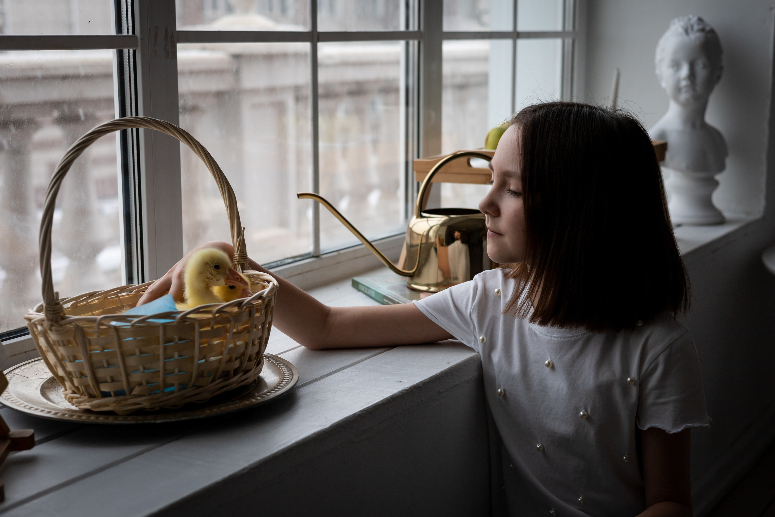 Семейная. Свадебный фотограф Красноярск — Кристина Ива