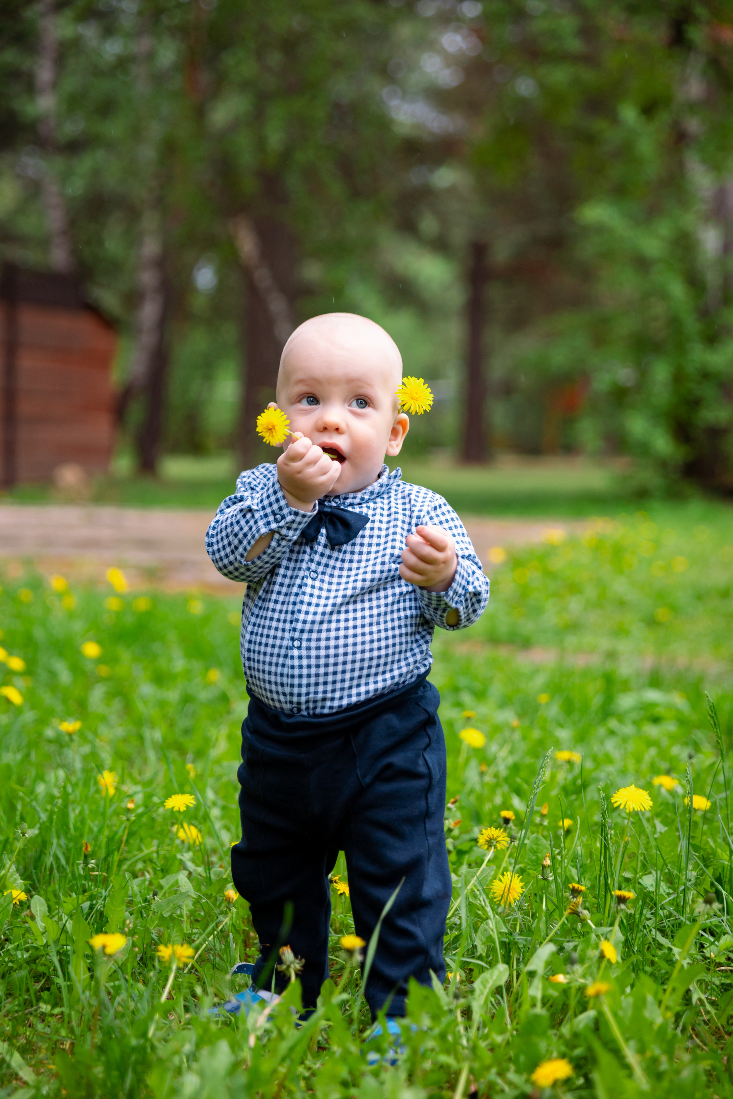 Семейная. Свадебный фотограф Красноярск — Кристина Ива