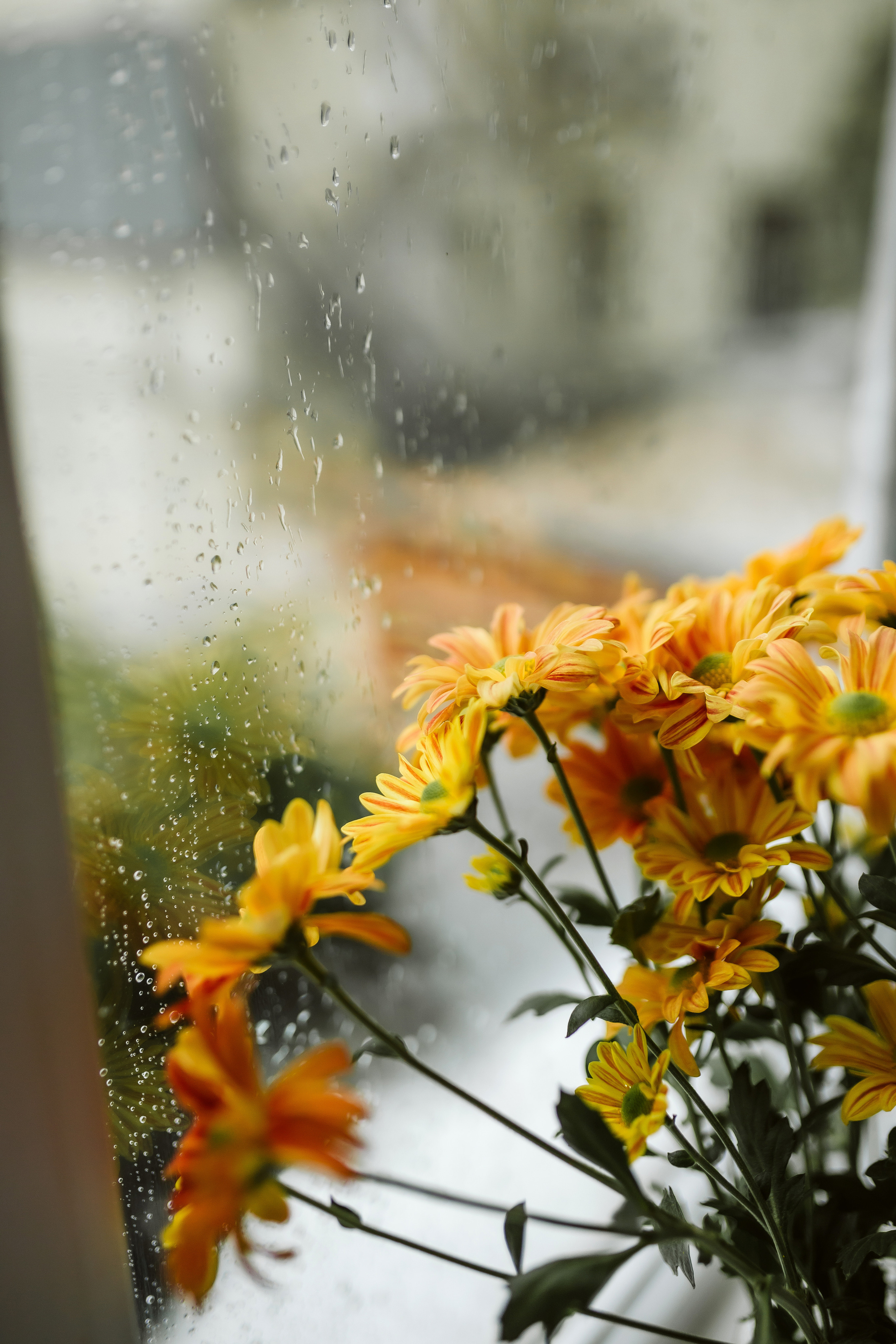 Даша и Мирон. Фотограф в Краснодаре Баева Кристина