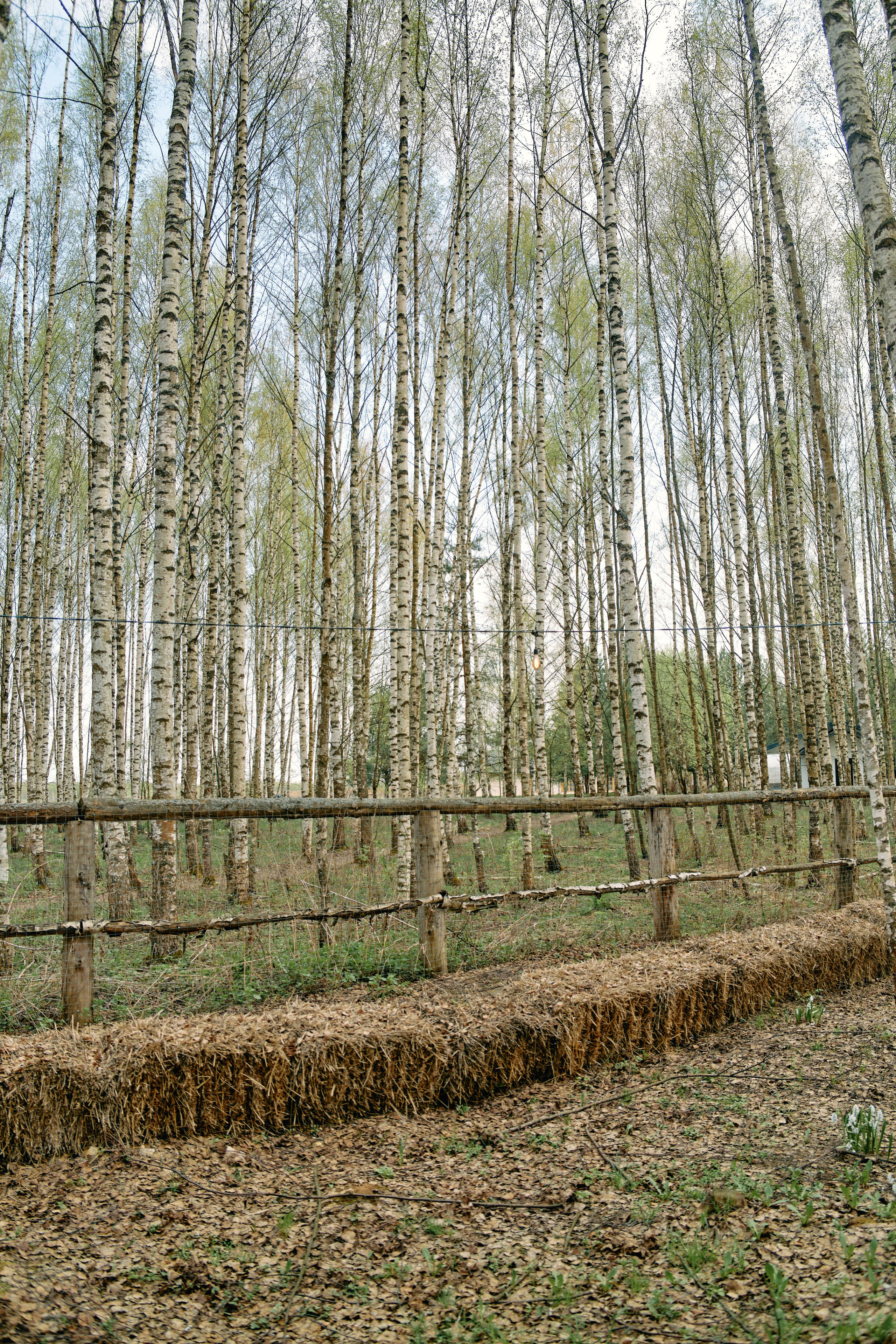 Бутик-отель Поле летом. Профессиональный Фотограф во Владимире, в Москве и в Суздале — Полина Романычева