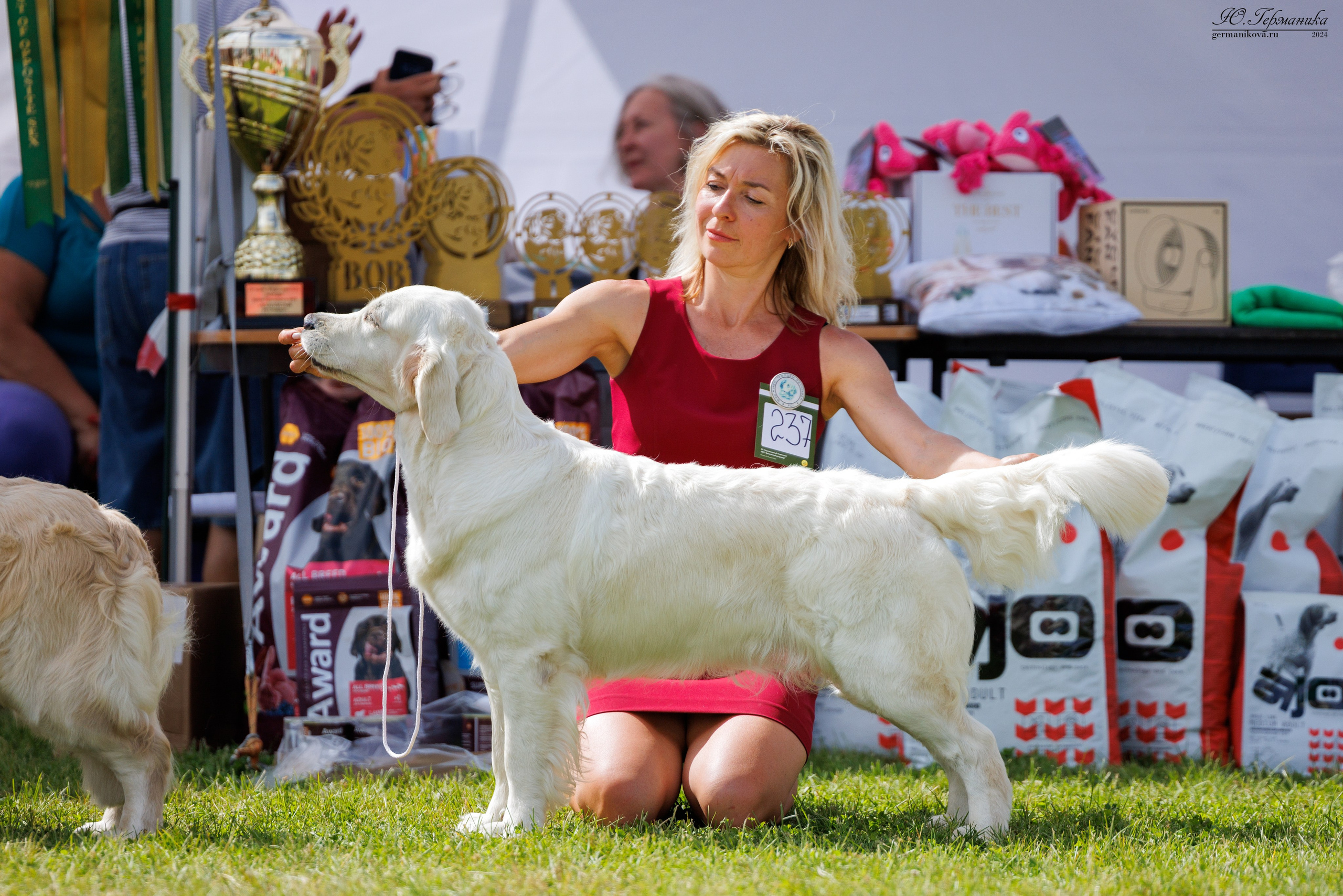 Голдены 15-16.06.2024. Фотограф-анималист Юлия Германика