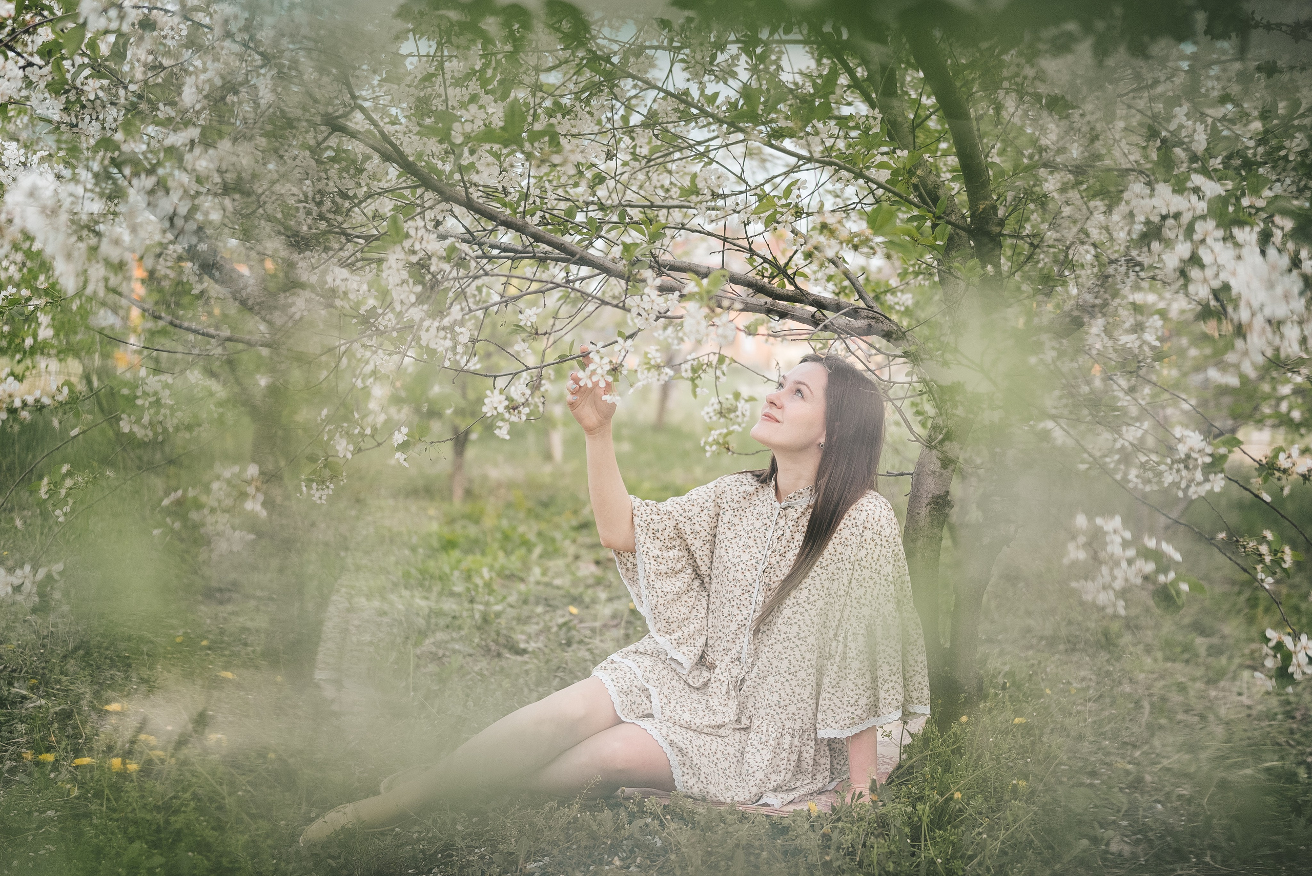 Фотосессия с цветущими деревьями. Семейный фотограф и видеограф Алёна Ким