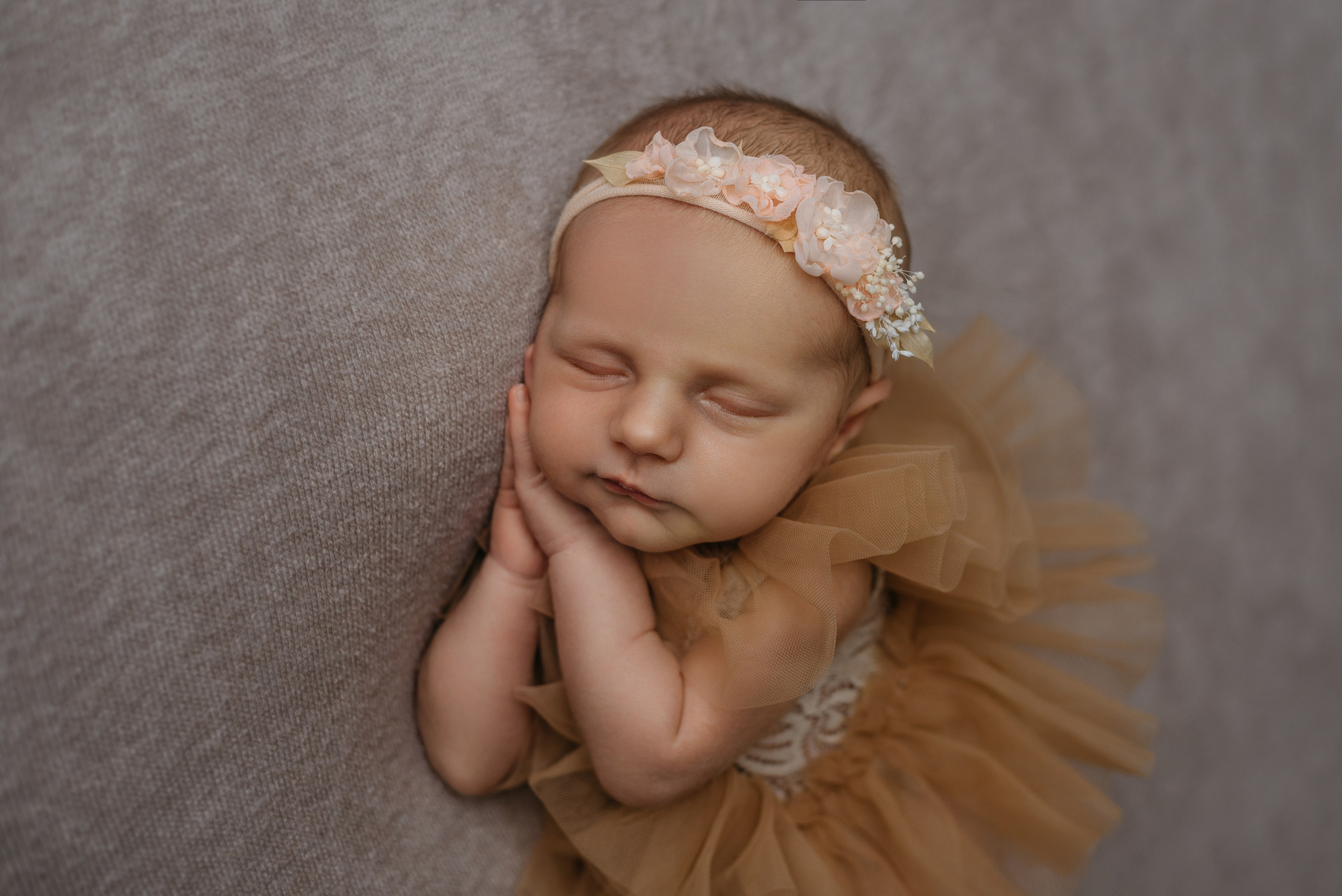 Дана. Фотограф новорожденных Белгород