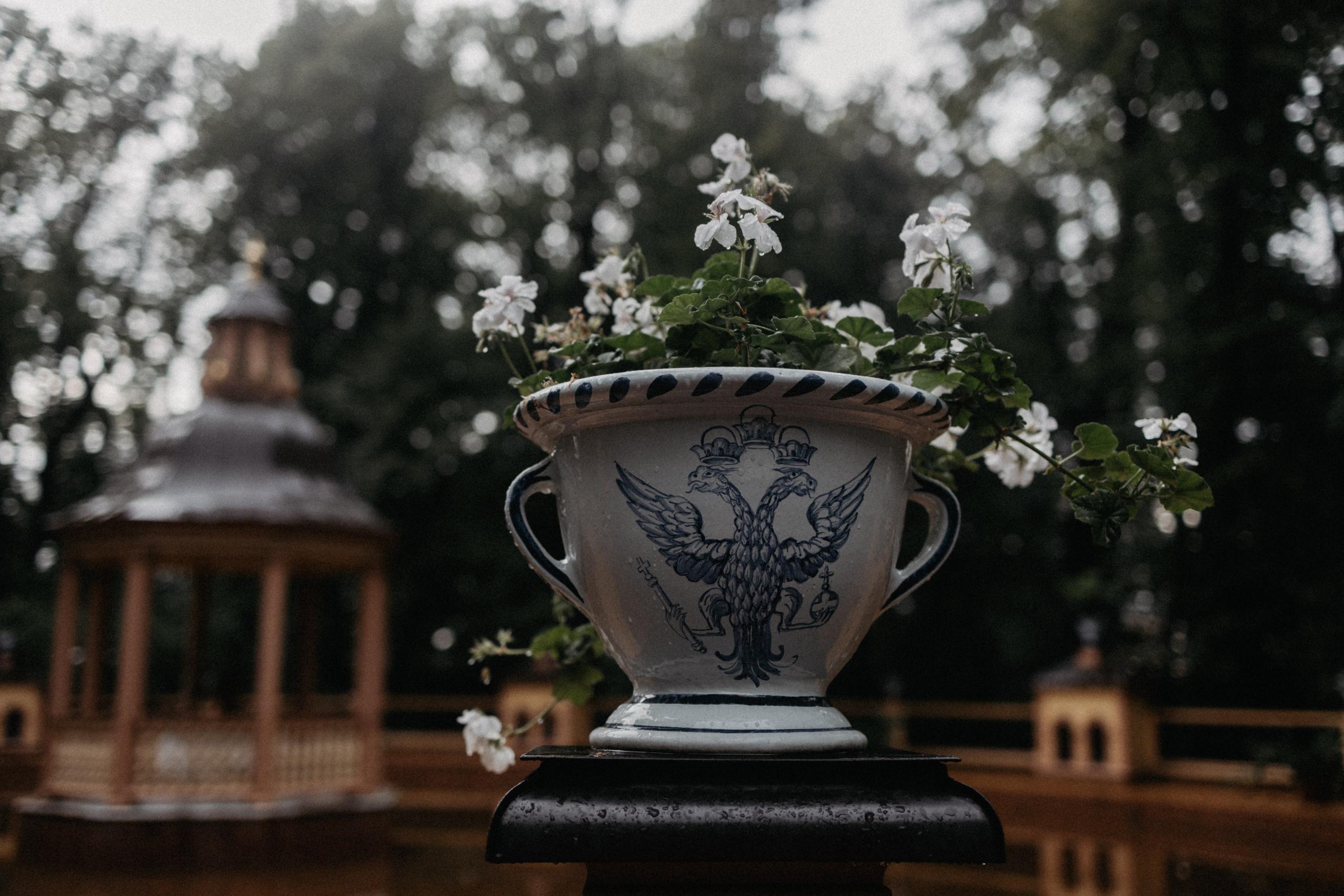 Город дождей. Семейный фотограф в Белгороде