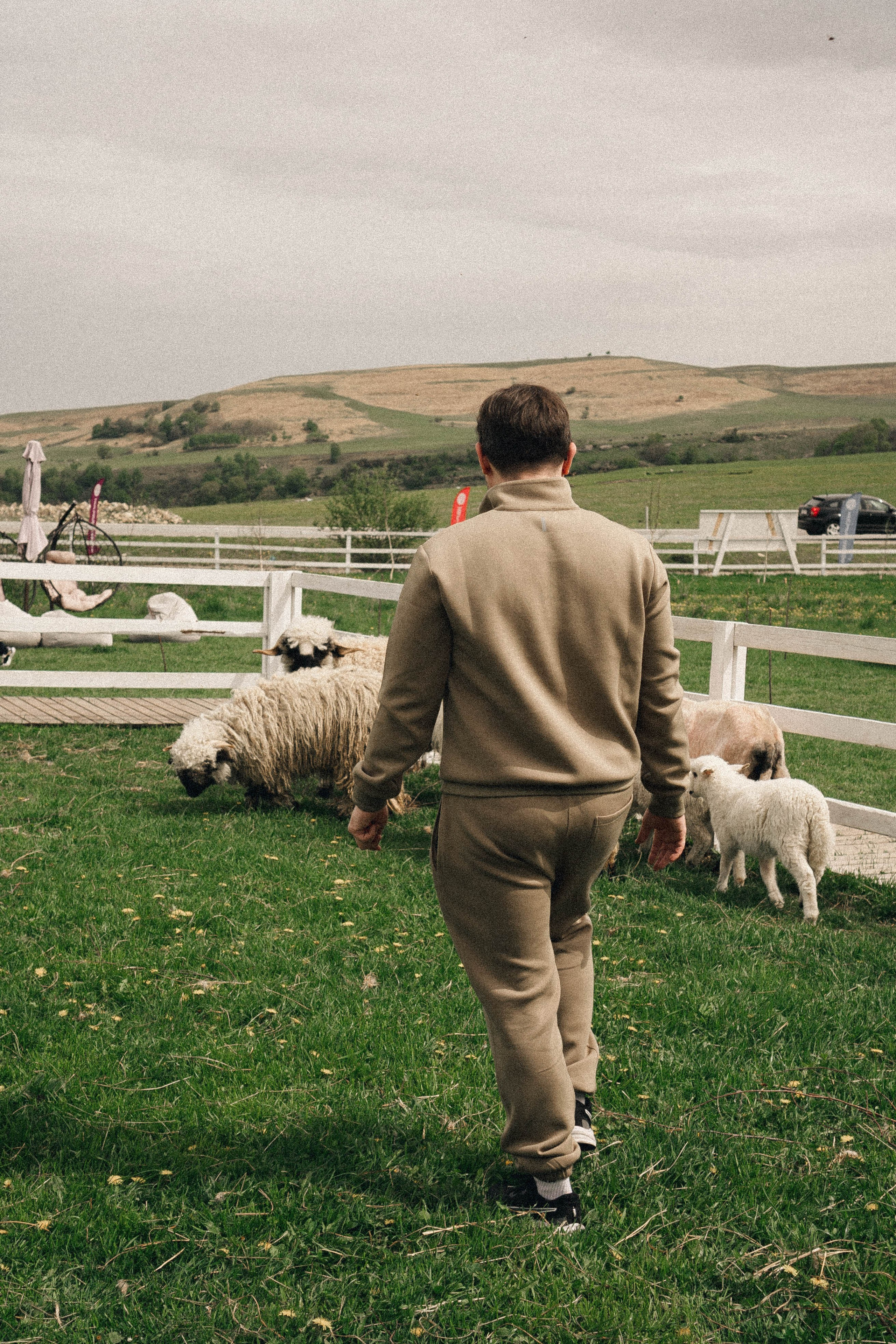 Ферма Альпак. Профессиональный фотограф, Санкт-Петербург — Виктория Богомолова