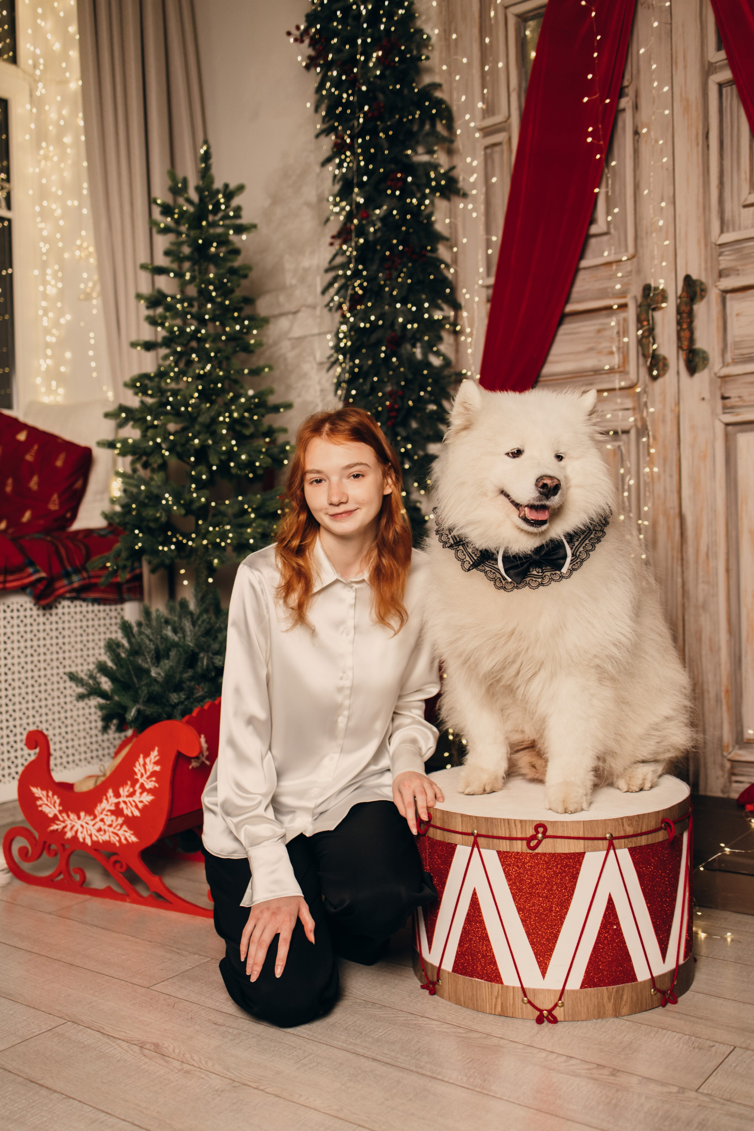 Новогодний самоед. Коновалова Ольга | фотограф в Пензе и Заречном